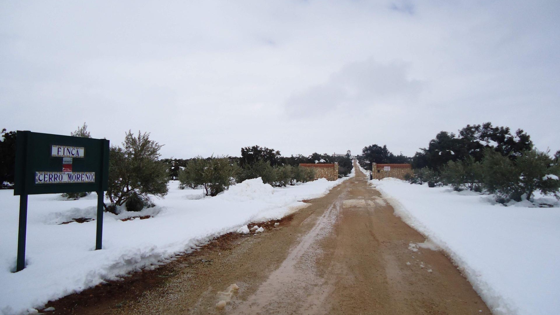 Resale - Finca Landgut -
Ossa de Montiel - Lagunas de ruidera