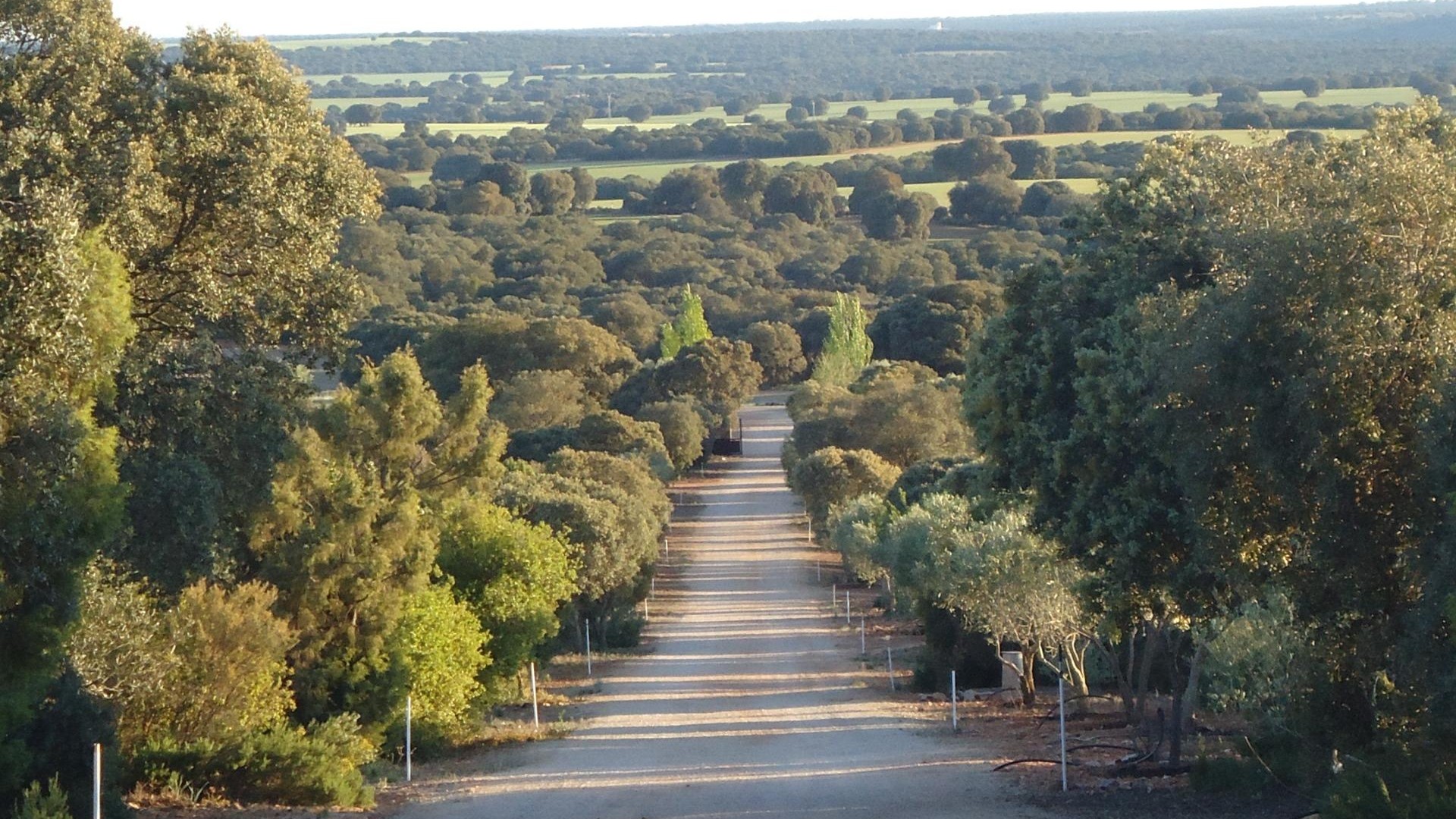 Resale - Finca Landgut -
Ossa de Montiel - Lagunas de ruidera
