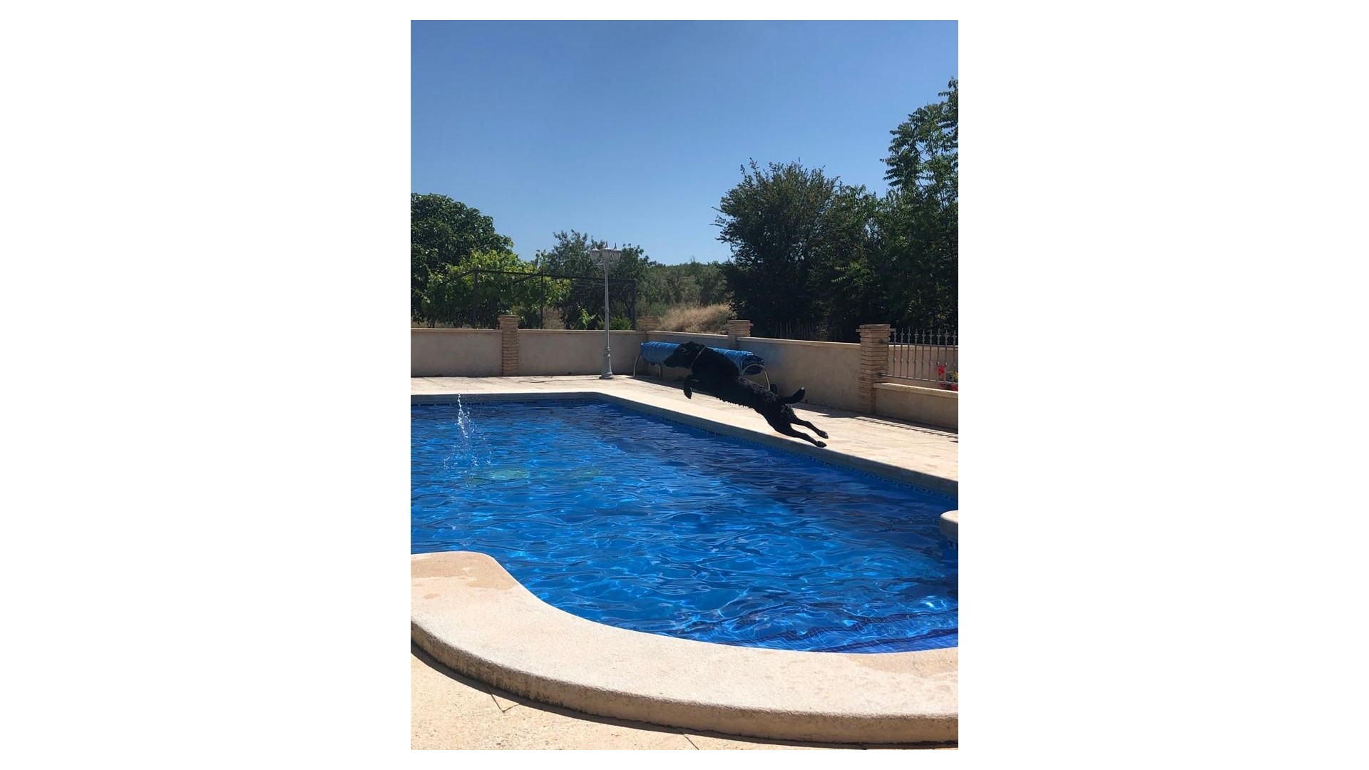 Resale - Finca Landgut -
Raspay - Raspay Murcia