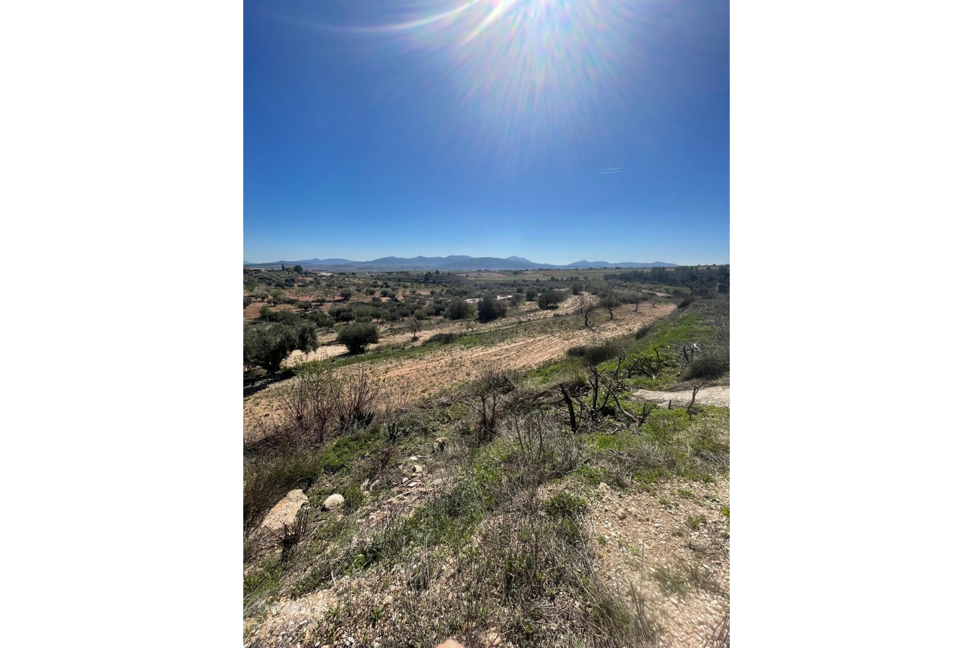 Resale - Finca Landgut -
Raspay - Raspay Murcia