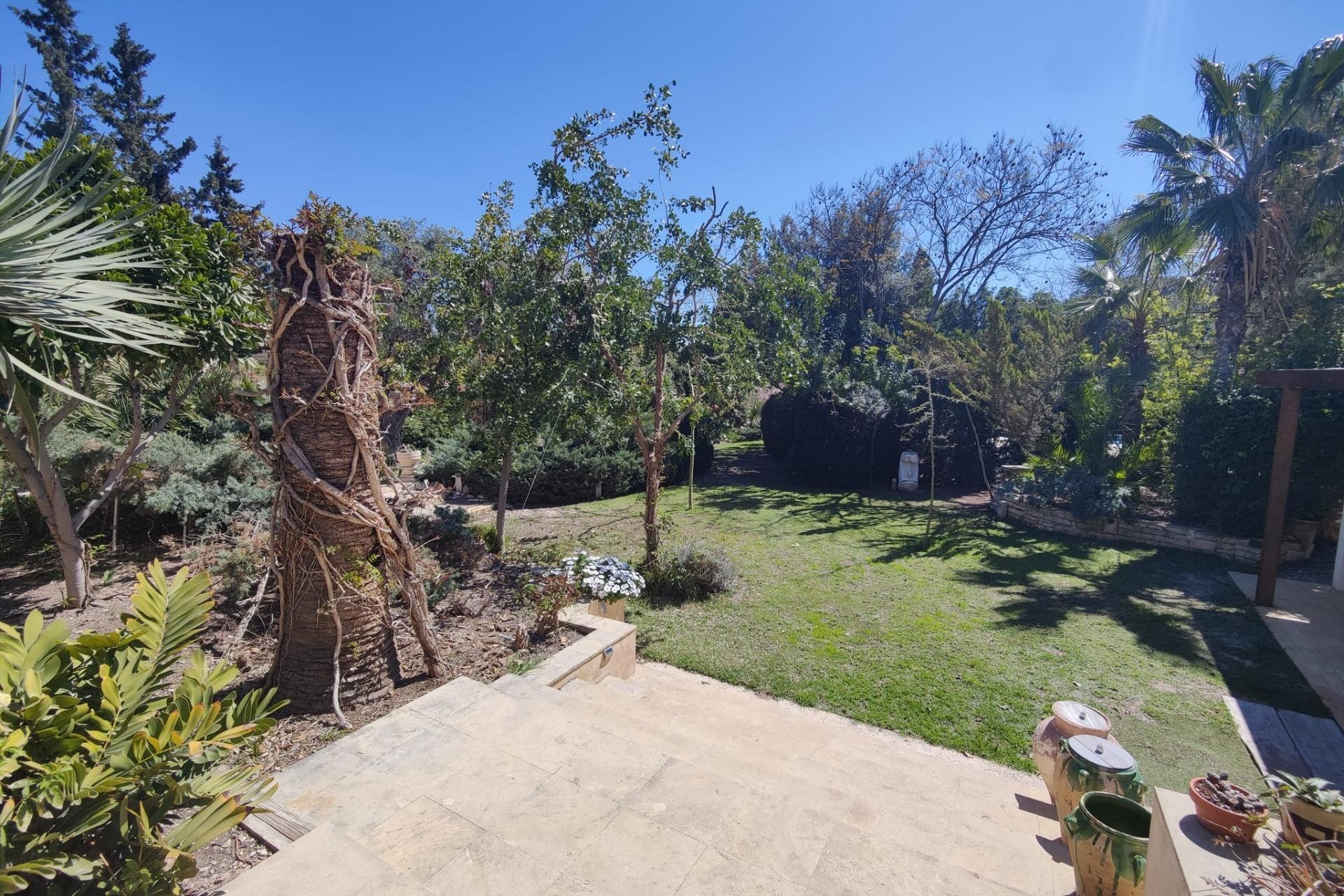 Resale - Finca Landgut -
San Juan de Alicante - SAN JUAN