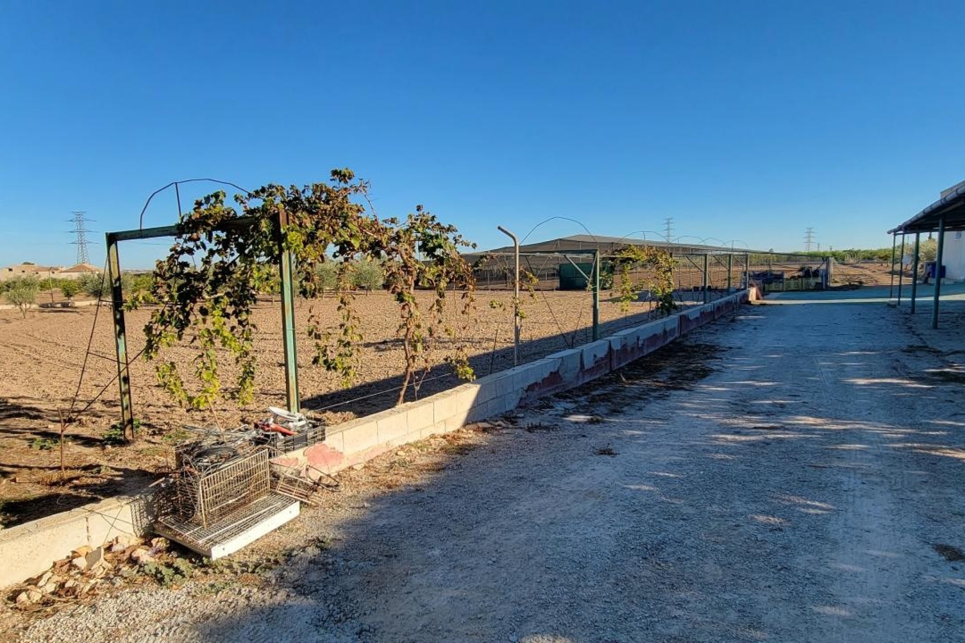 Resale - Finca Landgut -
San Miguel de Salinas