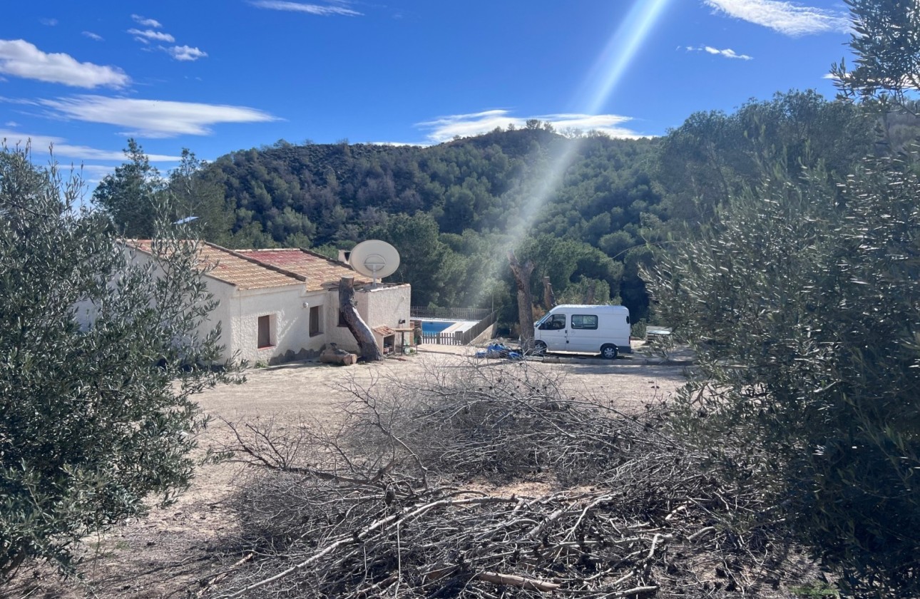 Resale - Finca Landgut -
Torremendo