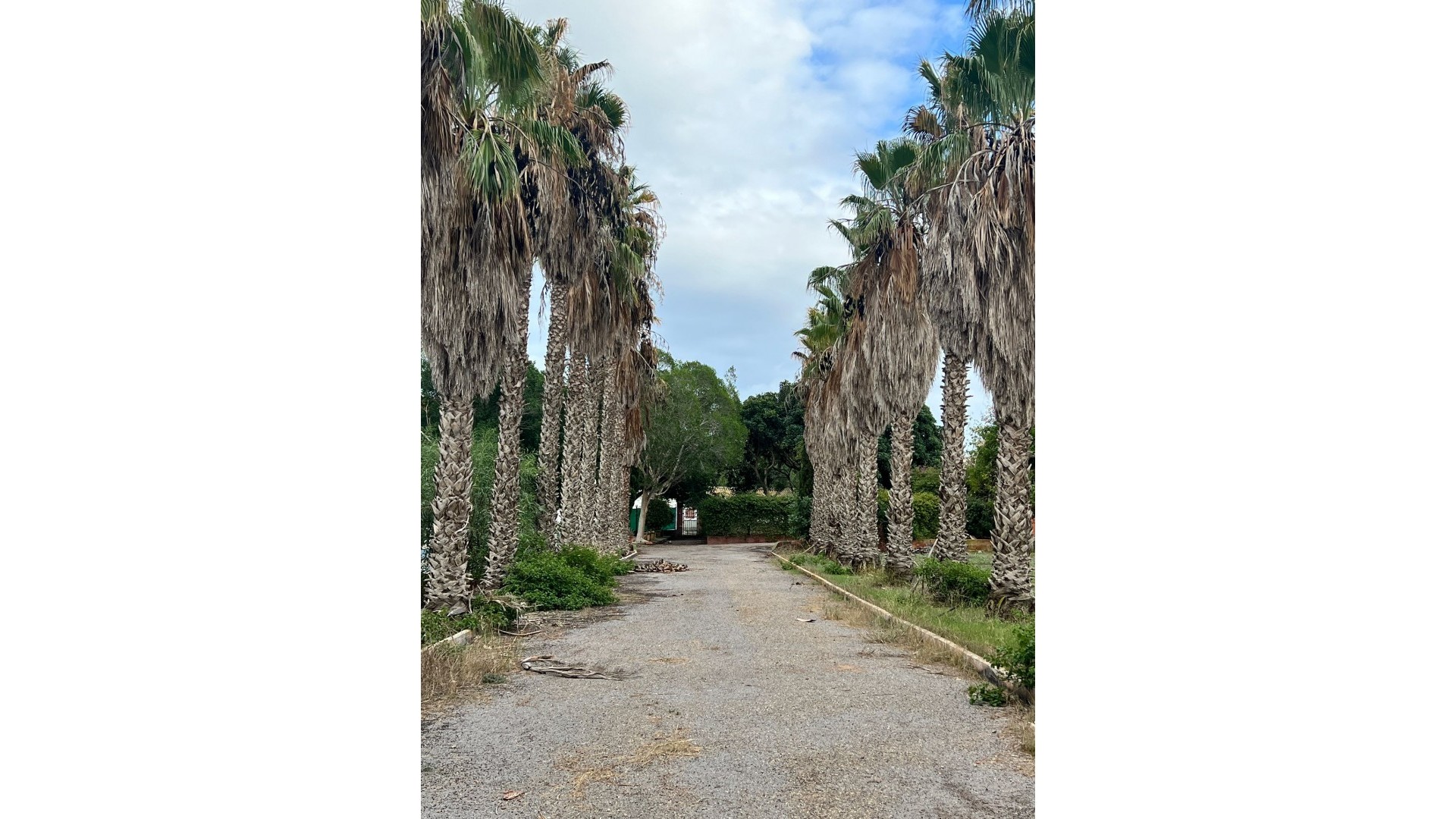 Resale - Finca Landgut -
Torrevieja