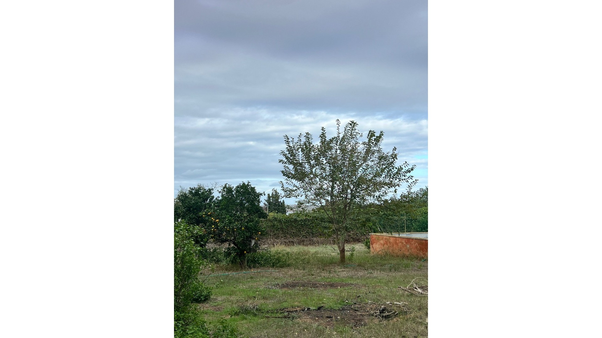 Resale - Finca Landgut -
Torrevieja