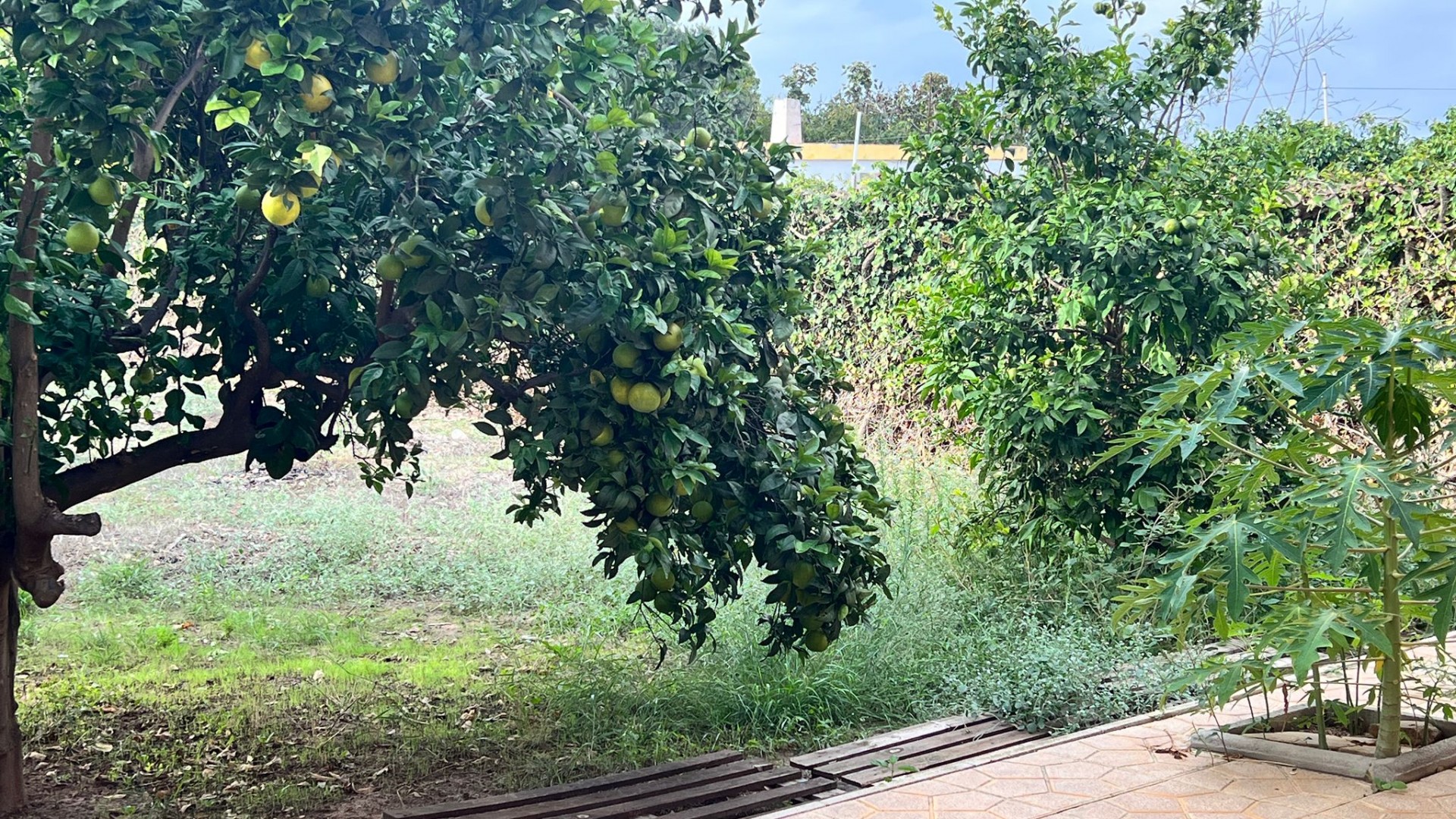 Resale - Finca Landgut -
Torrevieja