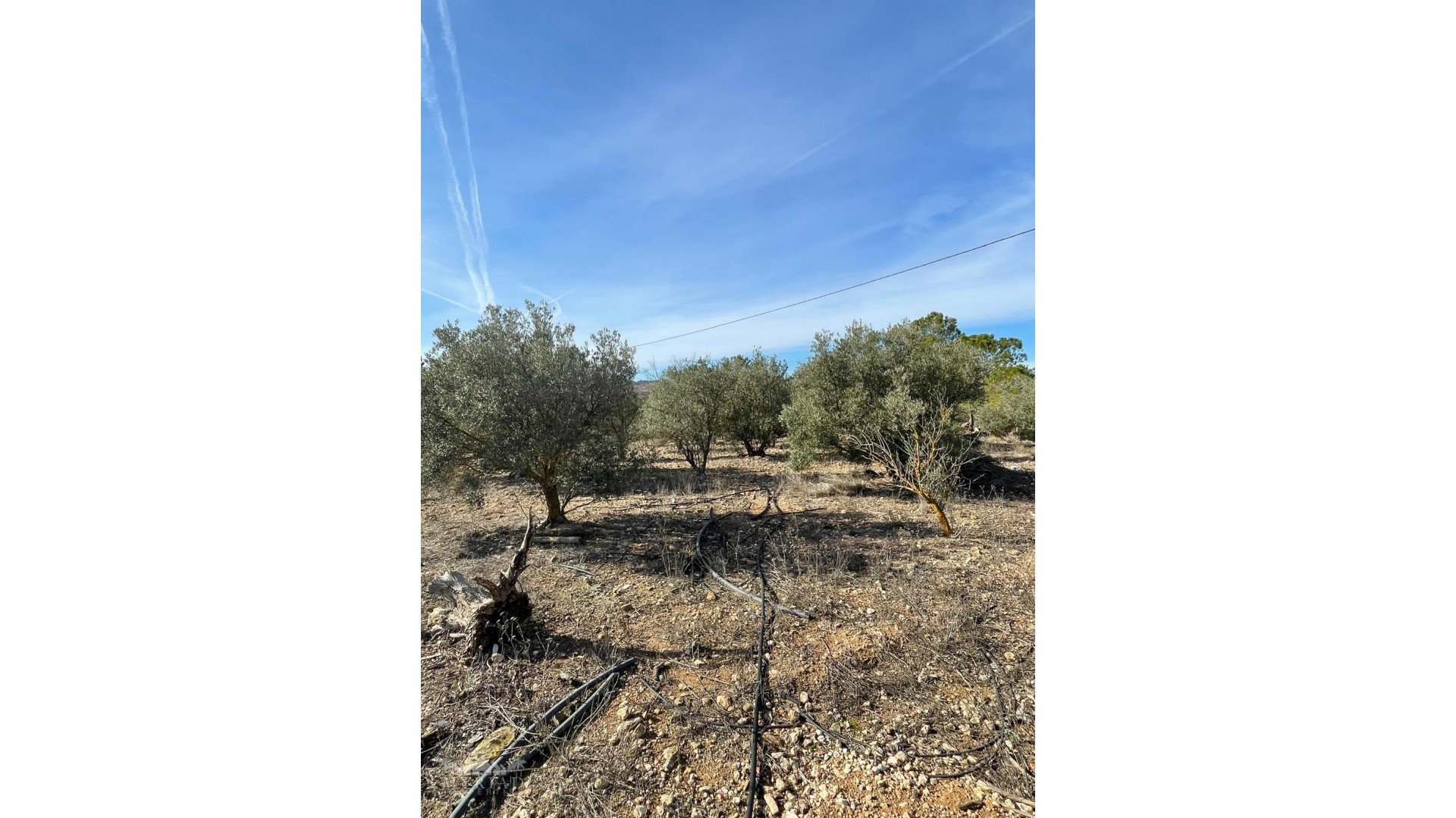 Resale - Finca Landgut -
&Uacute;beda - &Uacute;beda Alicante