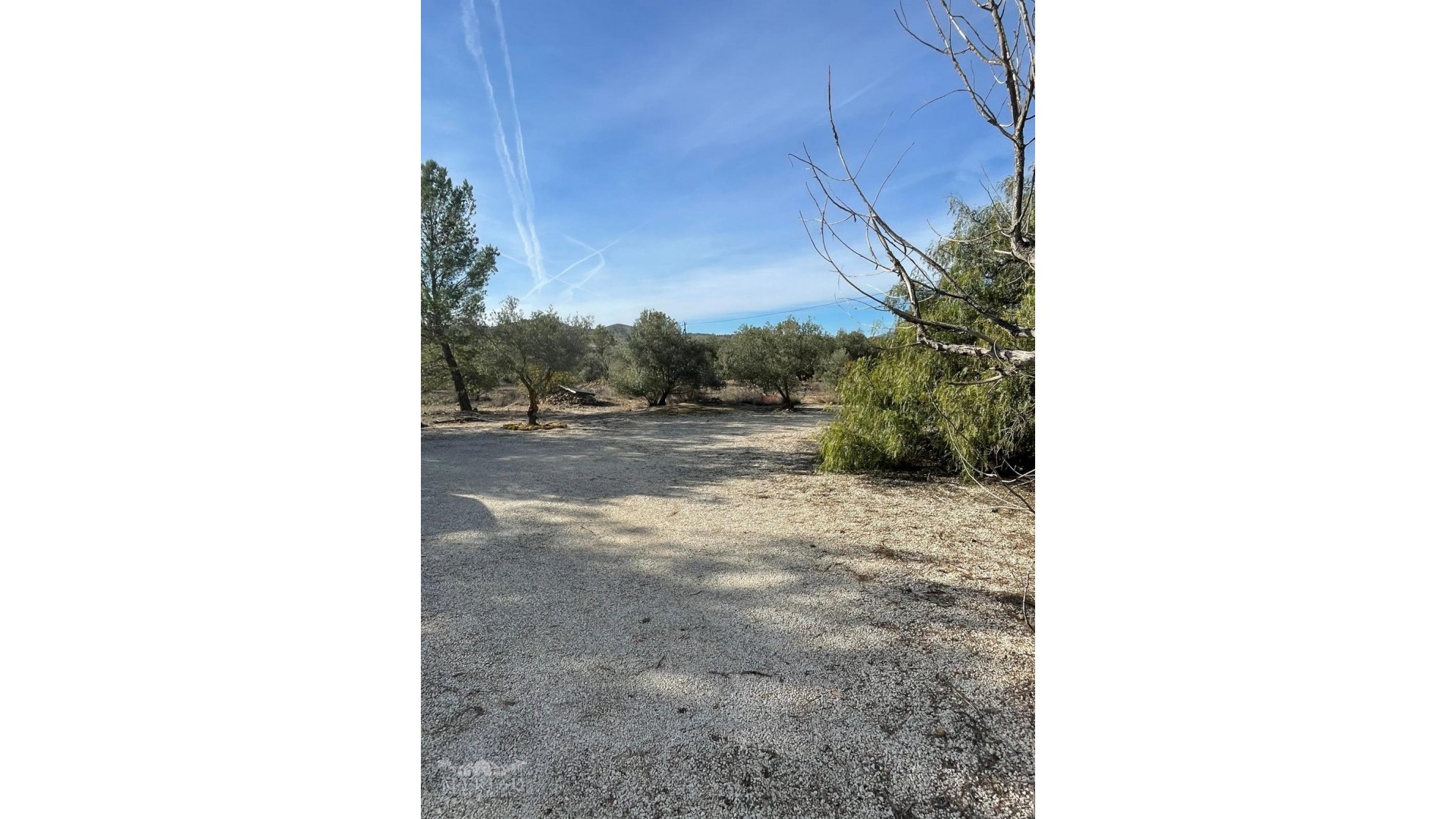 Resale - Finca Landgut -
&Uacute;beda - &Uacute;beda Alicante