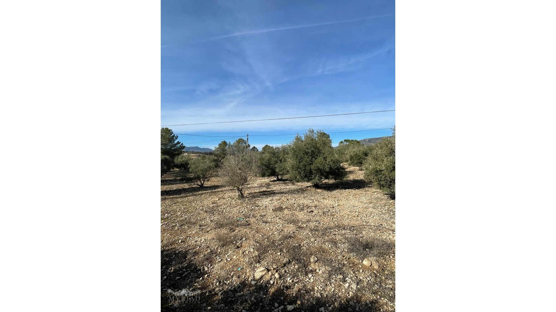 Resale - Finca Landgut -
&Uacute;beda - &Uacute;beda Alicante