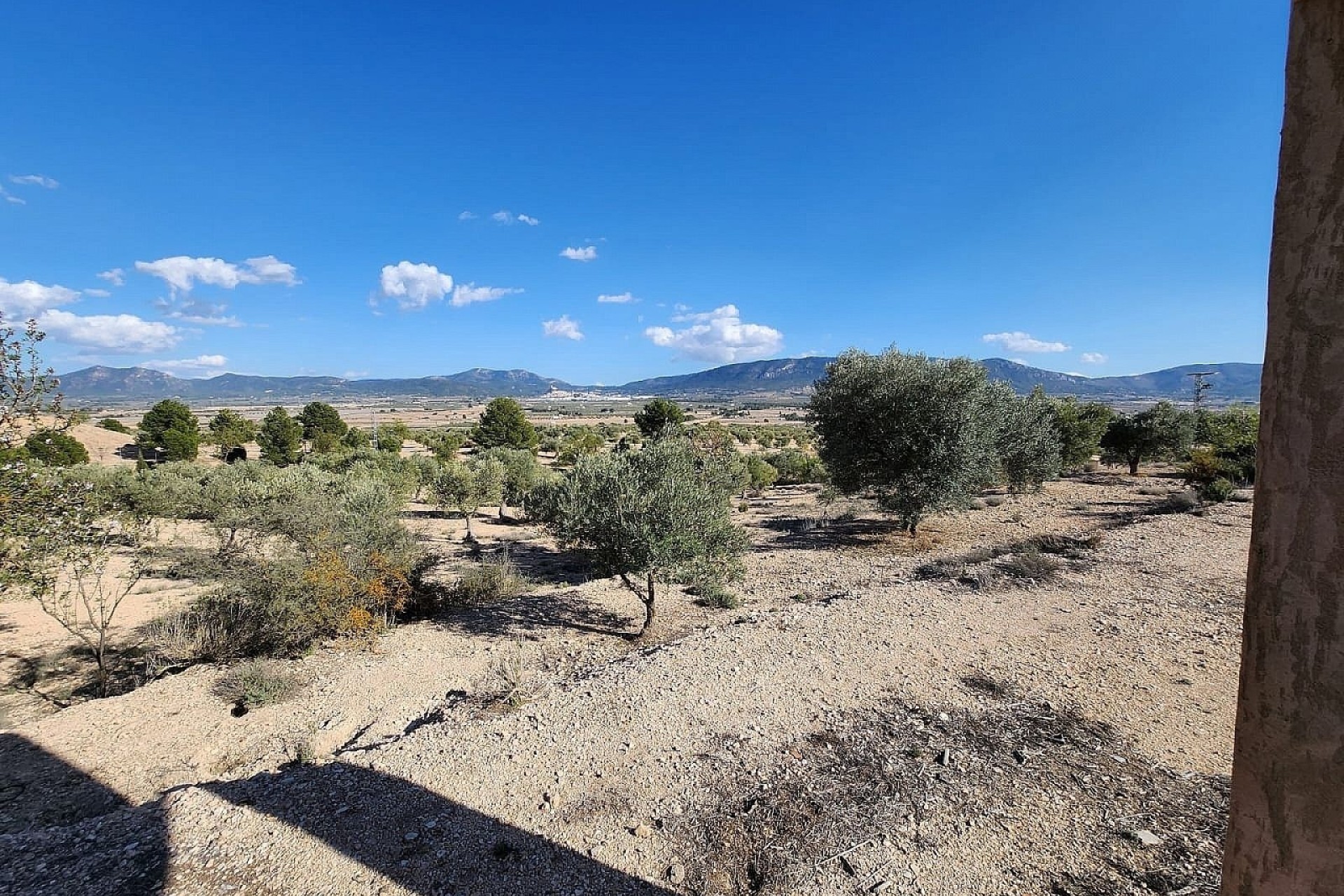 Resale - Finca Landgut -
Villena