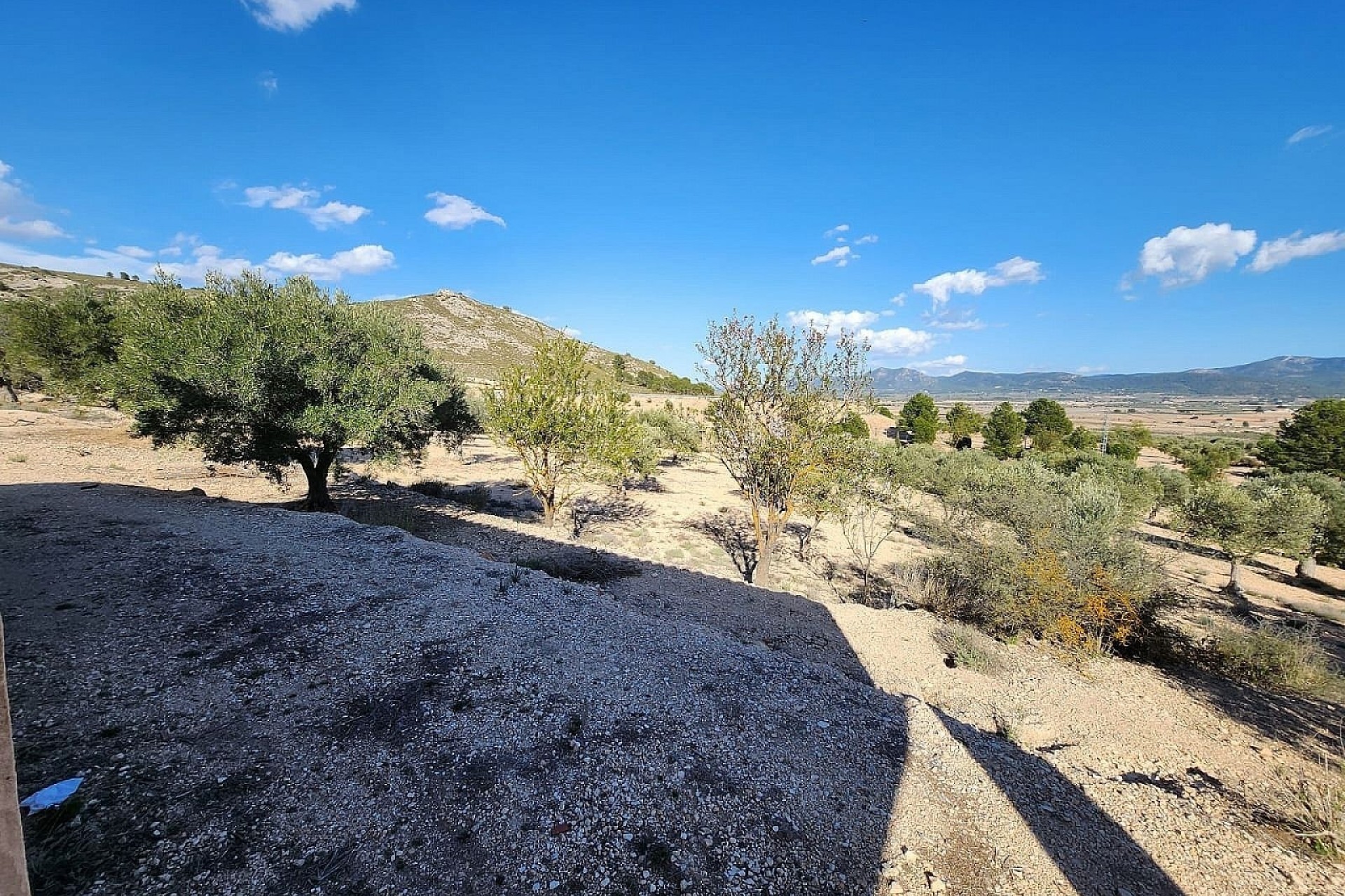 Resale - Finca Landgut -
Villena