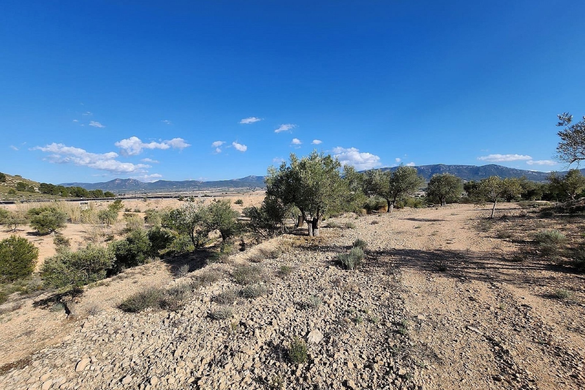 Resale - Finca Landgut -
Villena