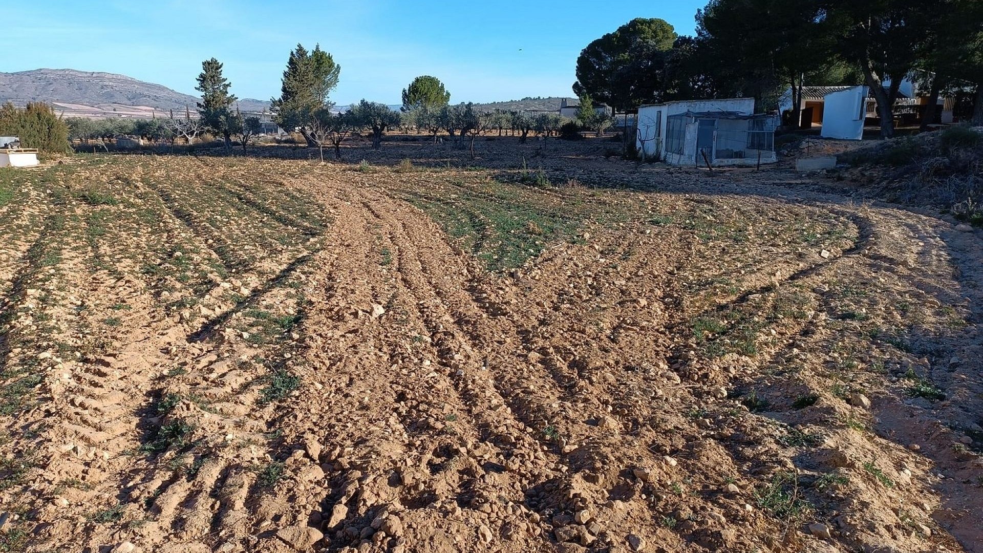 Resale - Finca Landgut -
Yecla