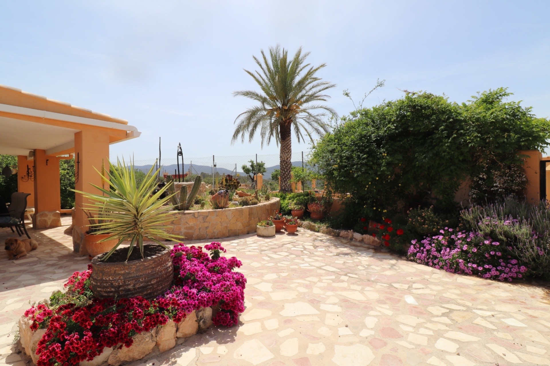 Resale - Finca / Landhaus -
Hondón de las Nieves - La Canalosa