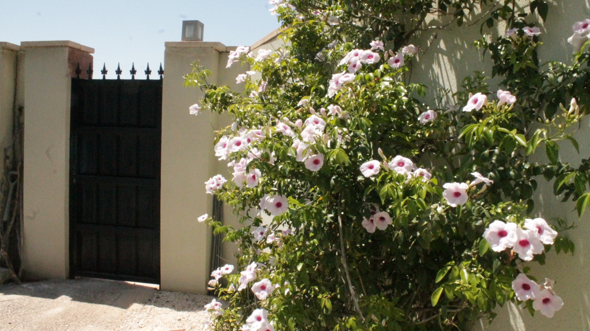 Resale - Freistehende Villa -
Abanilla - Abanilla Murcia