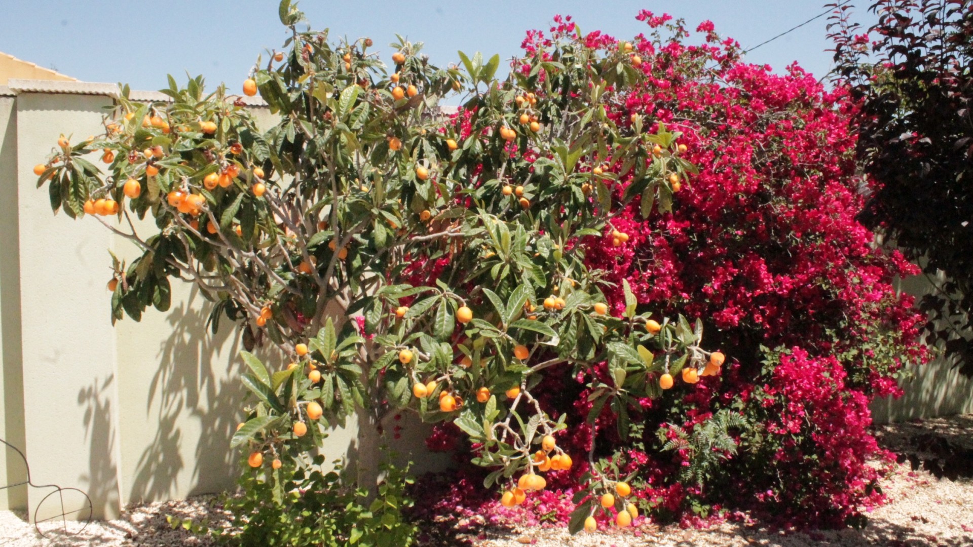 Resale - Freistehende Villa -
Abanilla - Abanilla Murcia