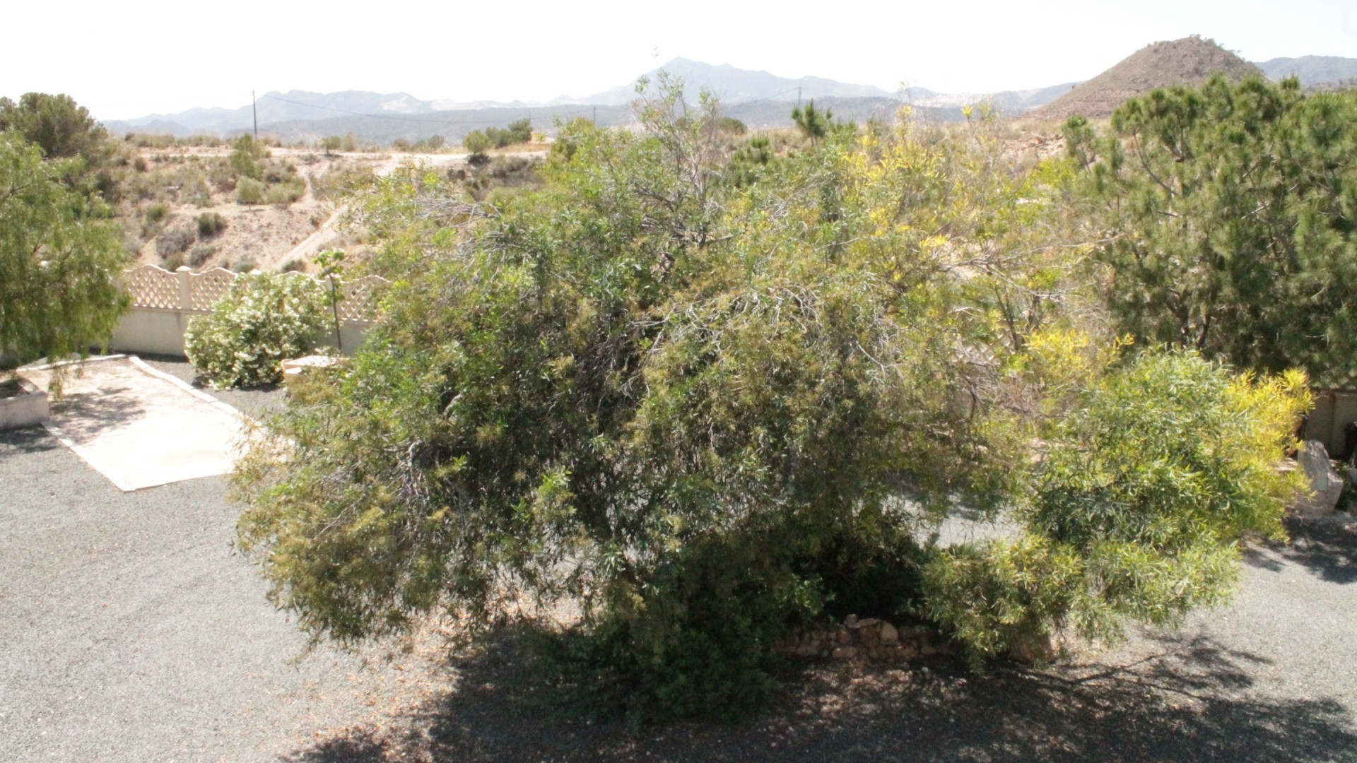 Resale - Freistehende Villa -
Abanilla - Abanilla Murcia