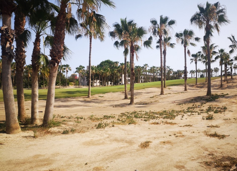 Resale - Freistehende Villa -
Algorfa - La Finca Golf Resort