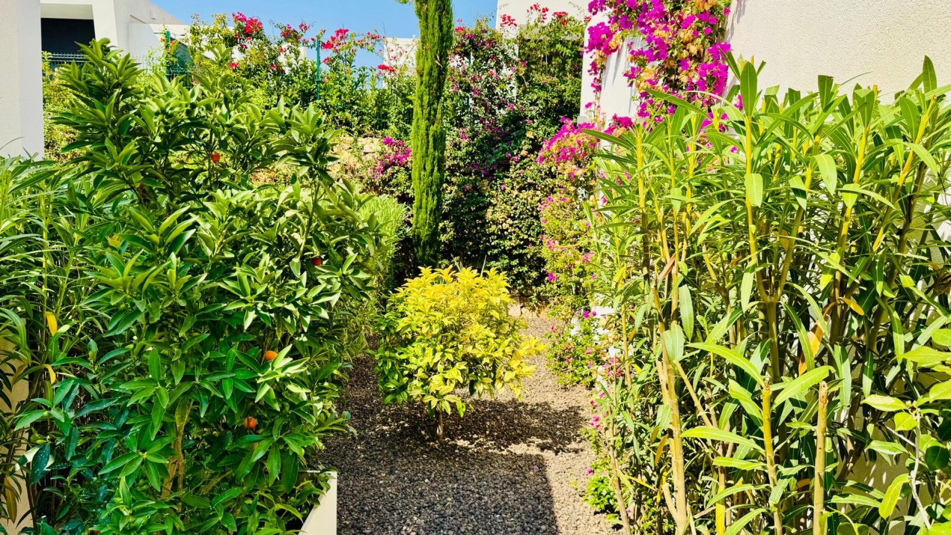 Resale - Freistehende Villa -
Algorfa - La finca Golf