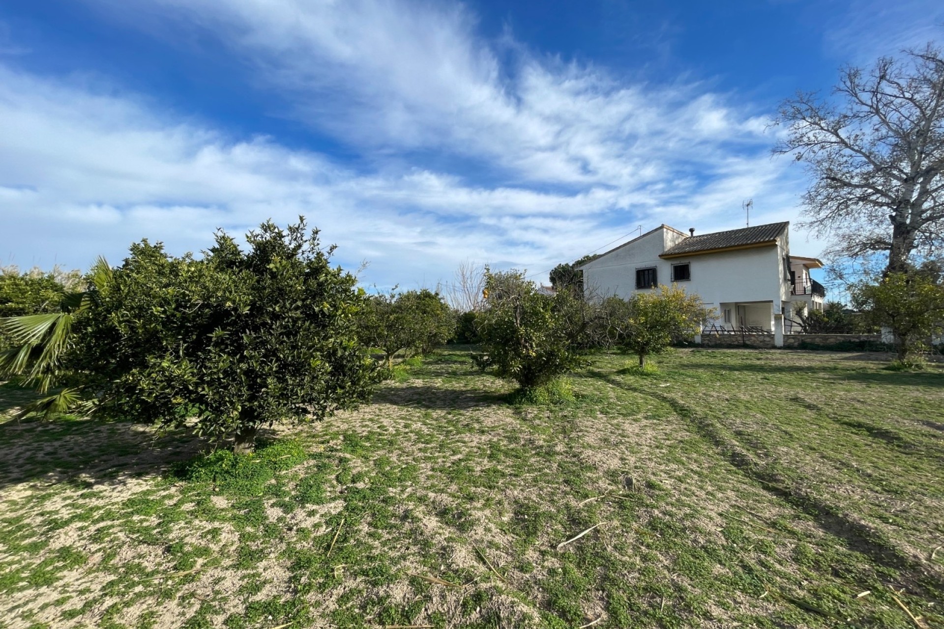 Resale - Freistehende Villa -
Benejúzar - Comunidad Valenciana