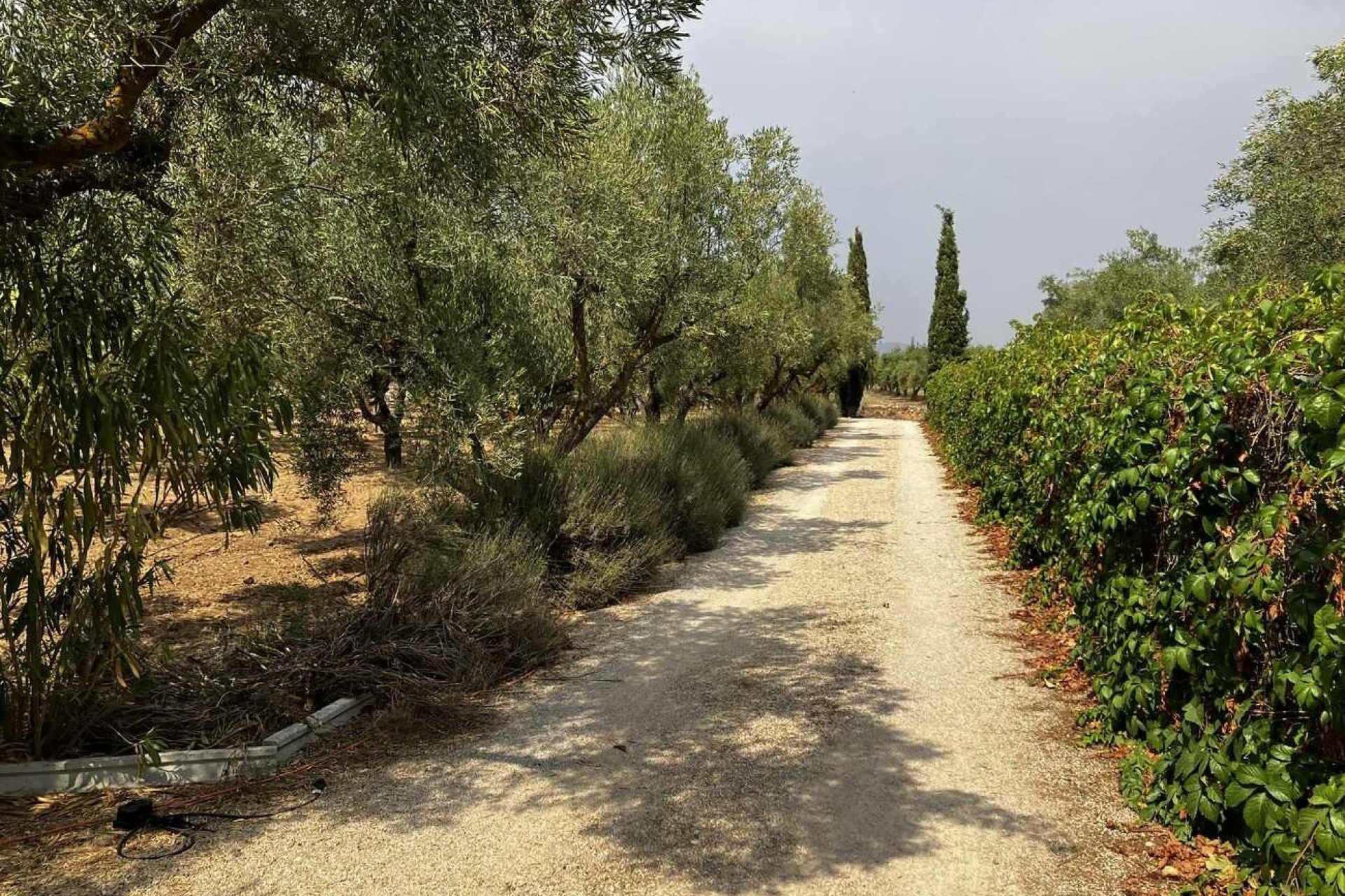 Resale - Freistehende Villa -
Biar - Costa Blanca