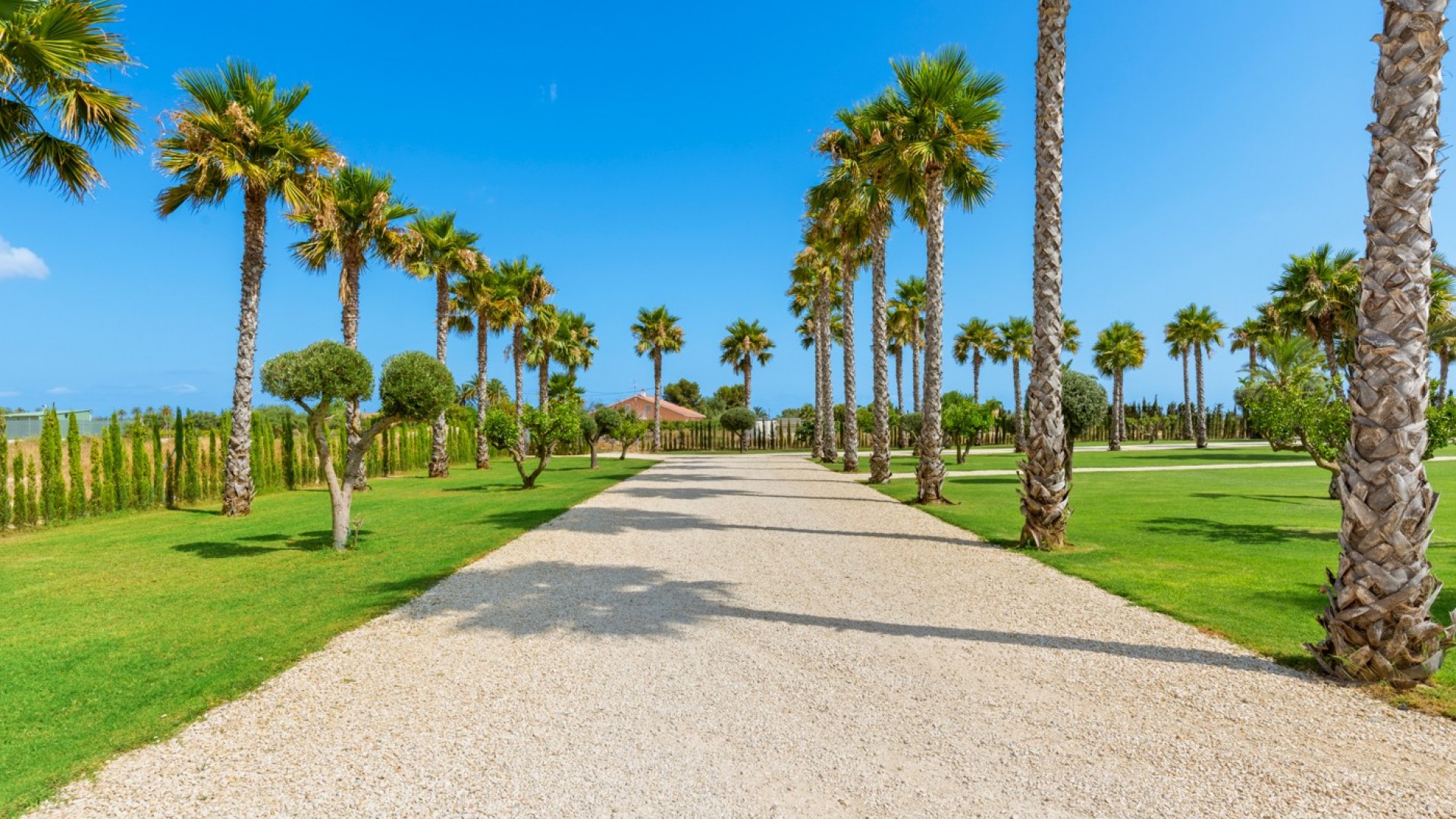 Resale - Freistehende Villa -
Elche - Elche/Elx