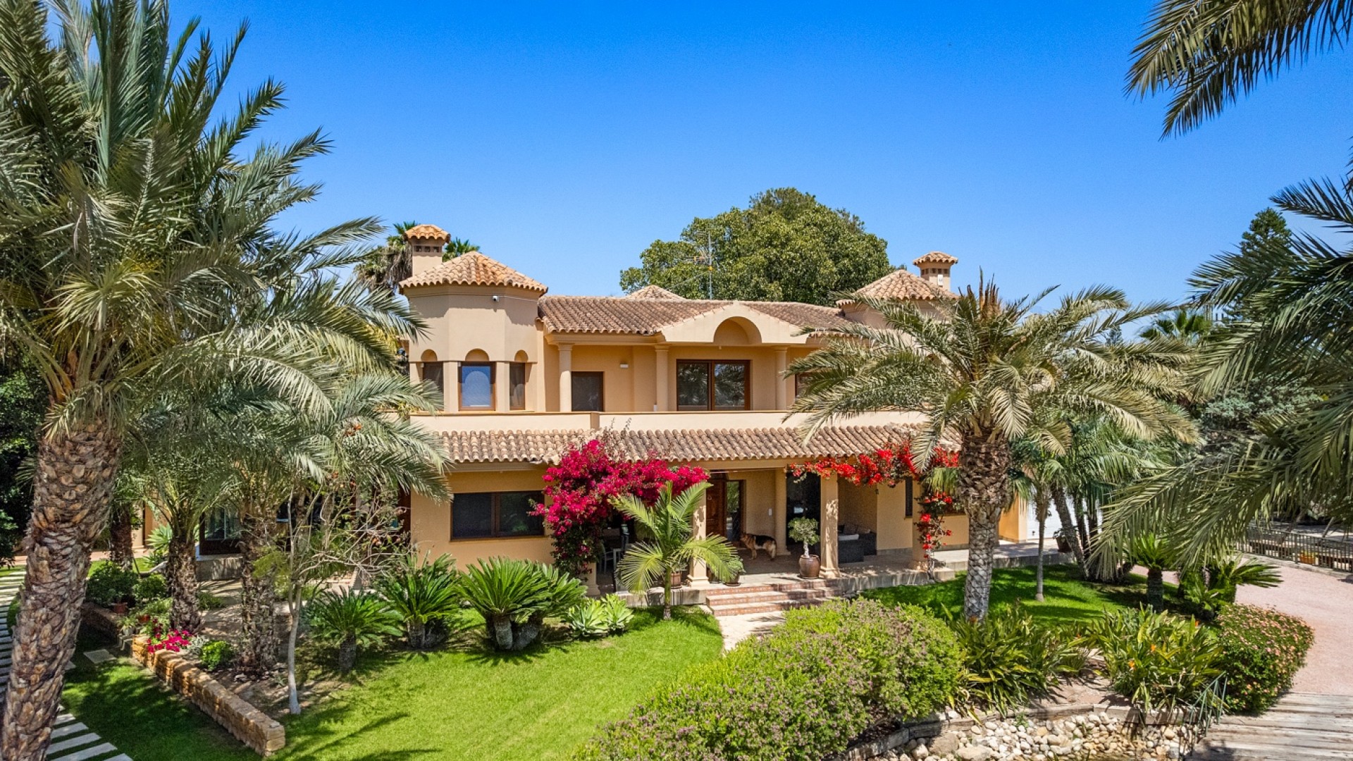 Resale - Freistehende Villa -
Elche - Elche/Elx