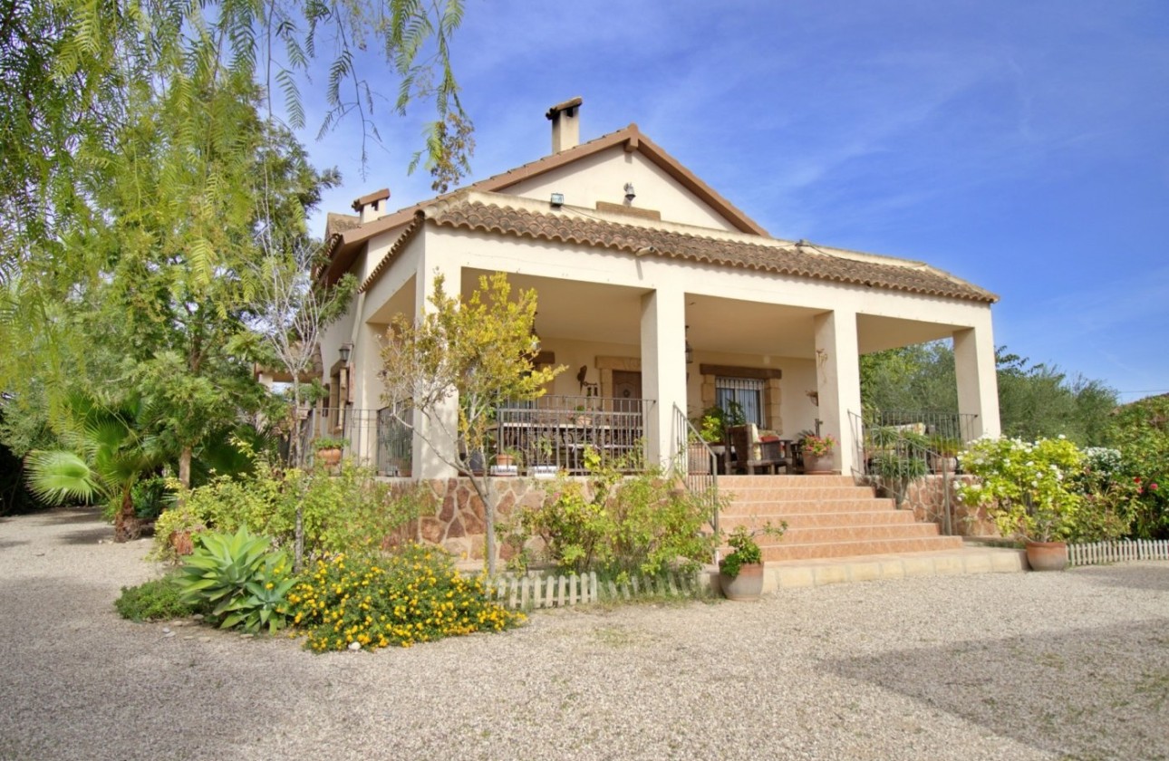 Resale - Freistehende Villa -
Elche - Valverde