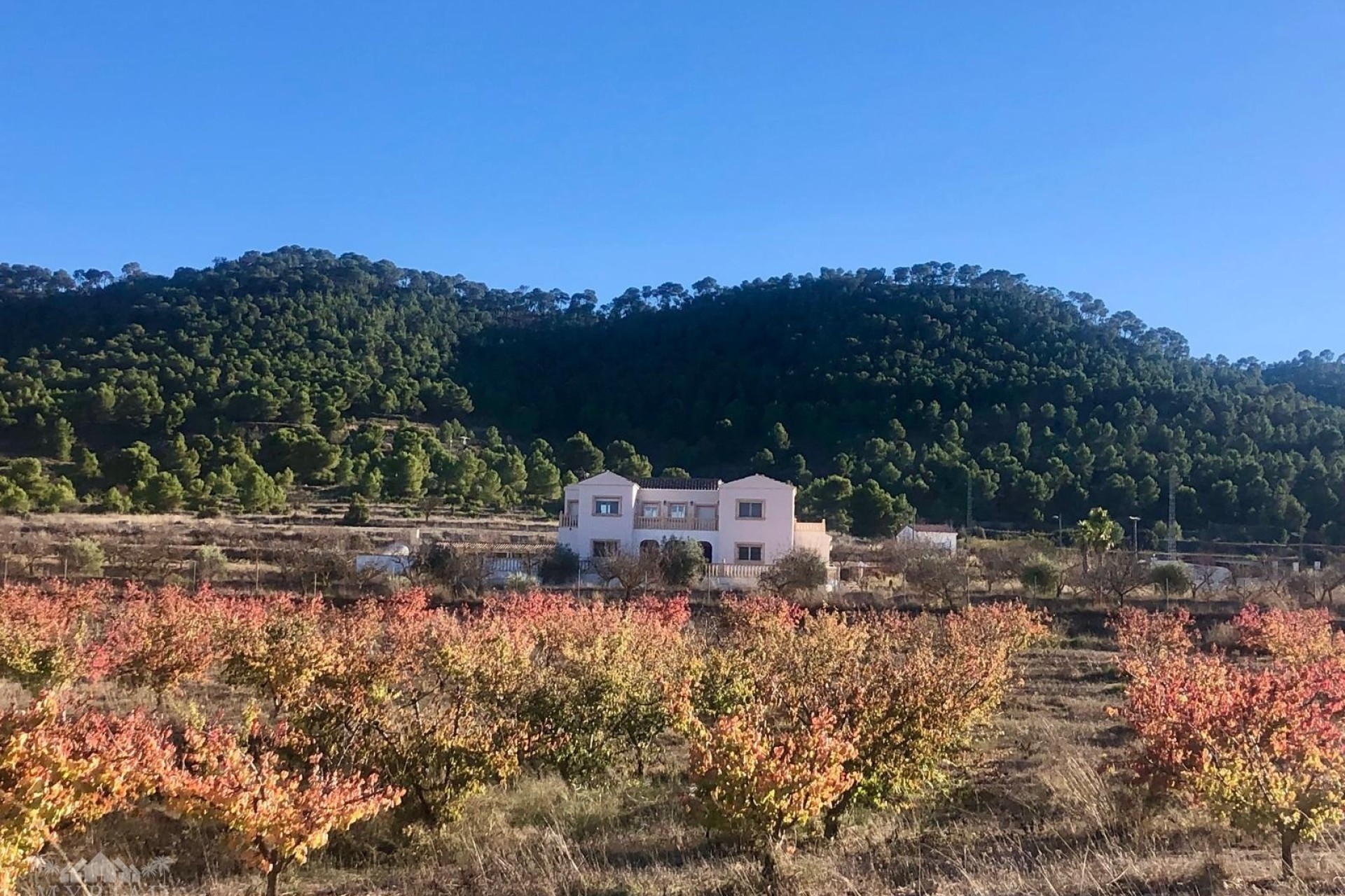 Resale - Freistehende Villa -
Encebras - Encebras Alicante