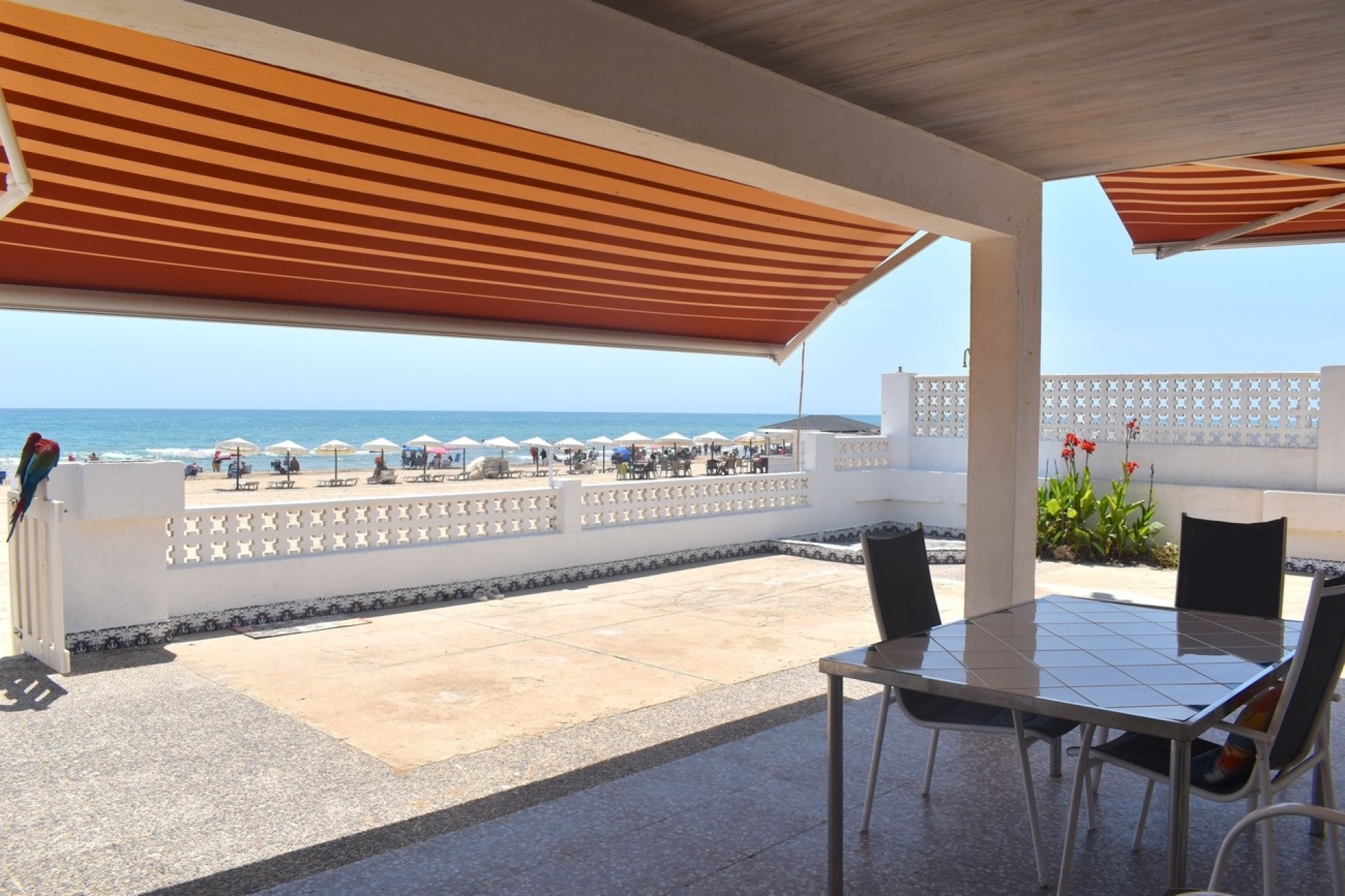 Resale - Freistehende Villa -
Guardamar del Segura - Costa Blanca