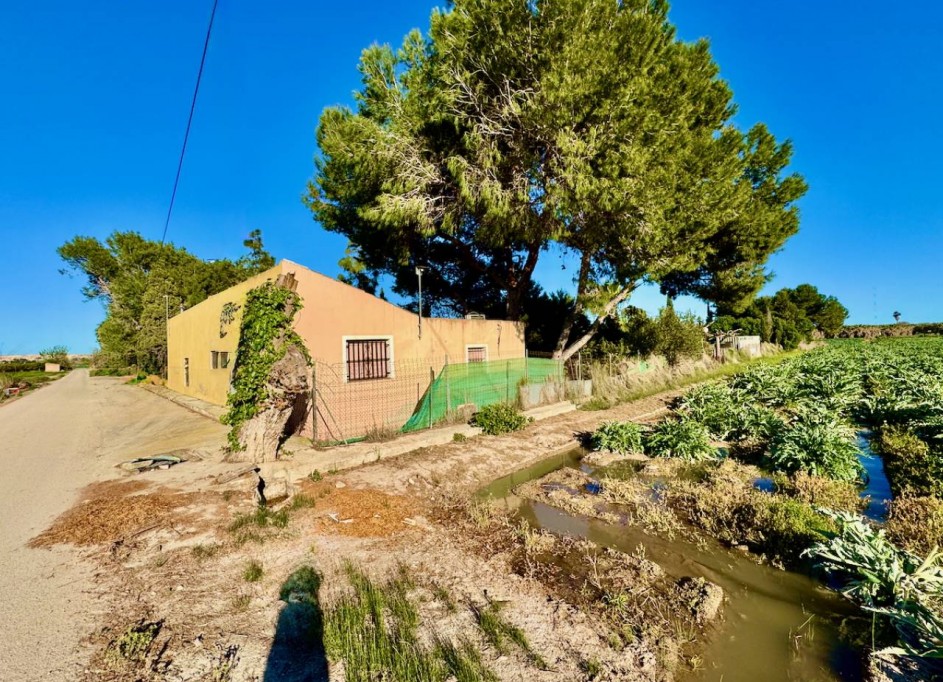 Resale - Freistehende Villa -
Guardamar del Segura