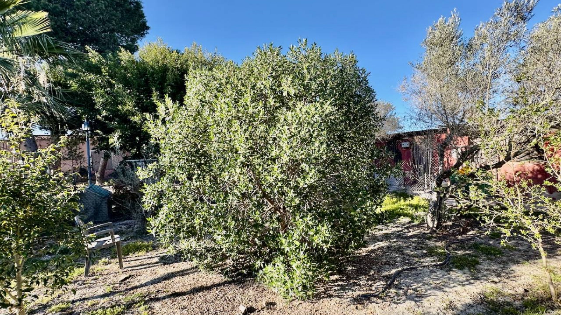 Resale - Freistehende Villa -
Guardamar del Segura