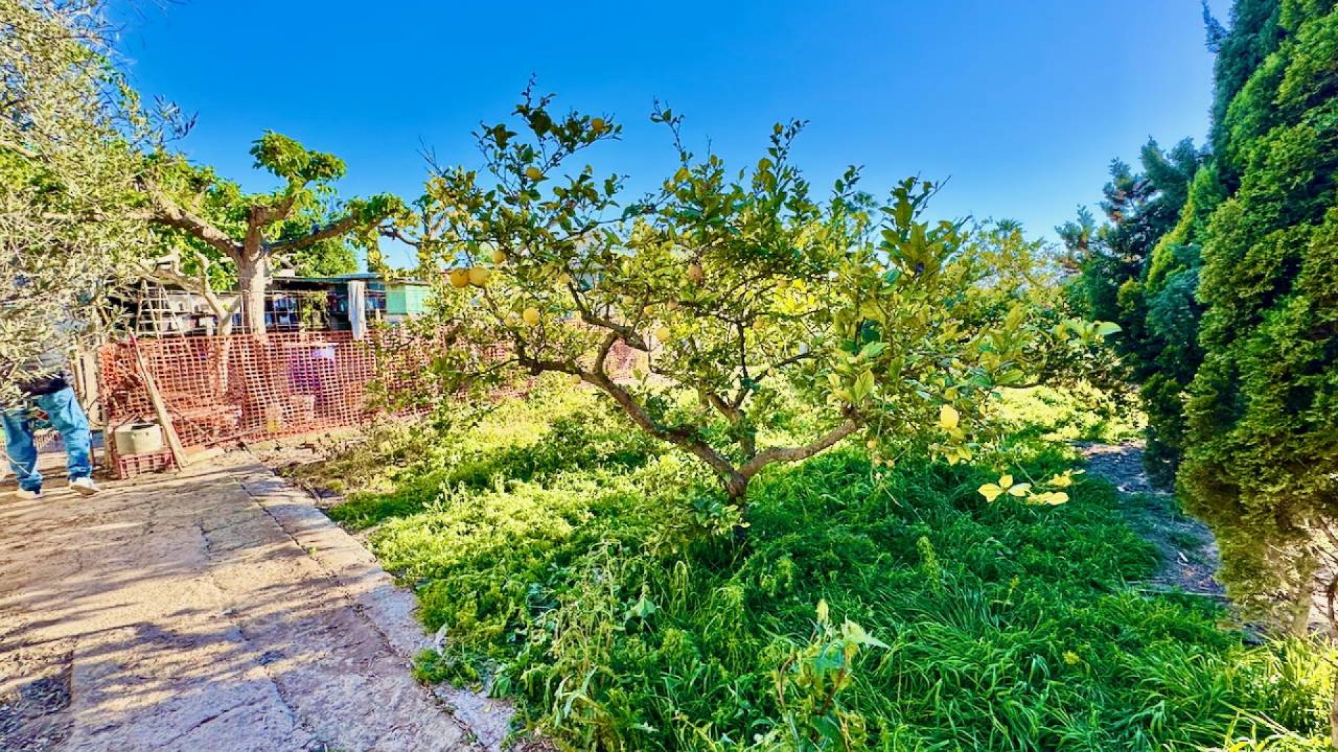 Resale - Freistehende Villa -
Guardamar del Segura