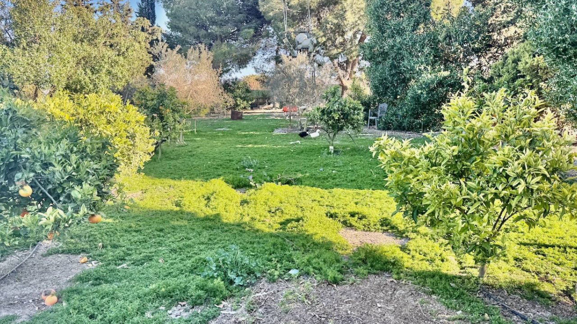 Resale - Freistehende Villa -
Guardamar del Segura