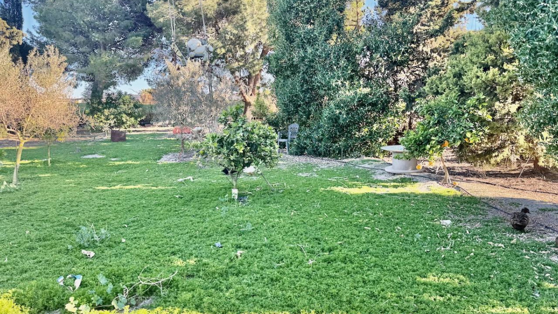 Resale - Freistehende Villa -
Guardamar del Segura