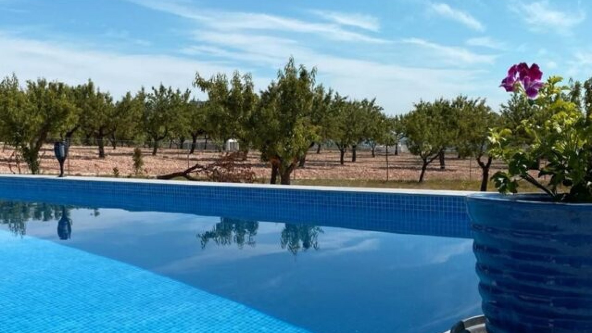 Resale - Freistehende Villa -
Hondón de las Nieves