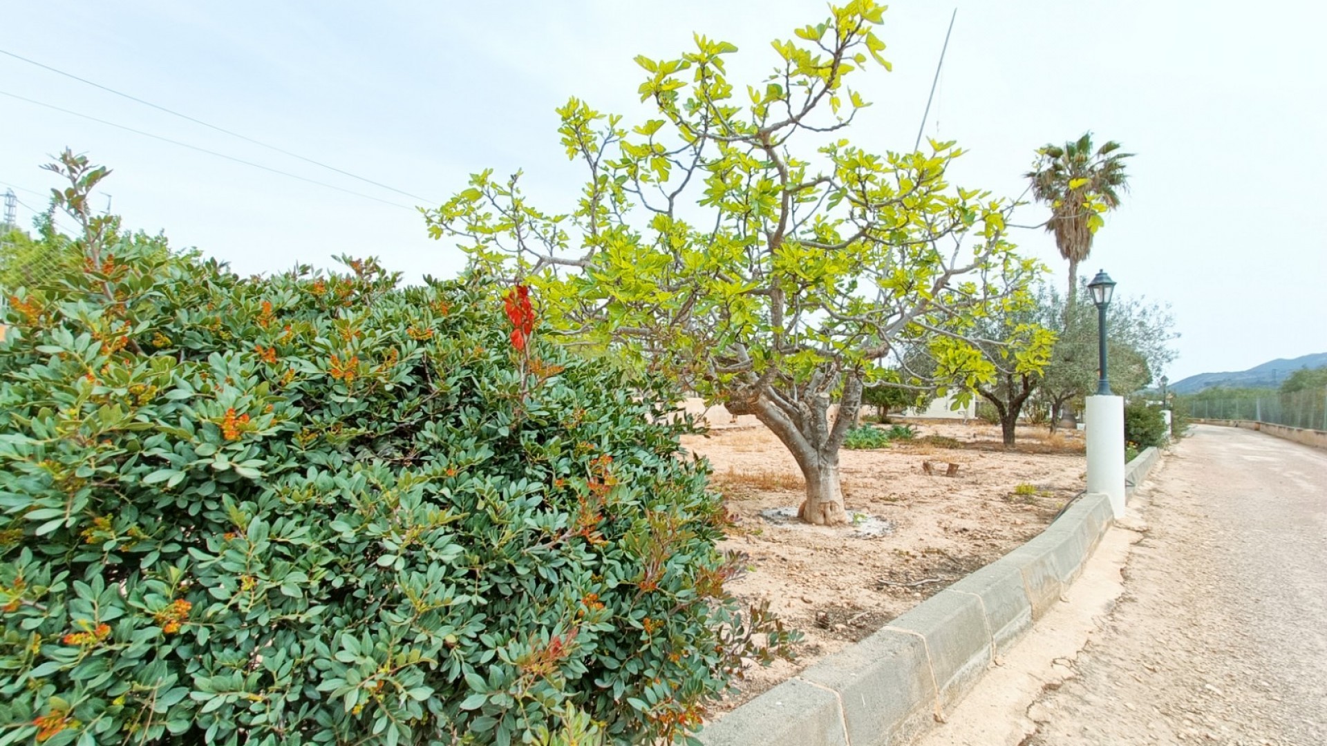 Resale - Freistehende Villa -
Hondón de los Fráiles