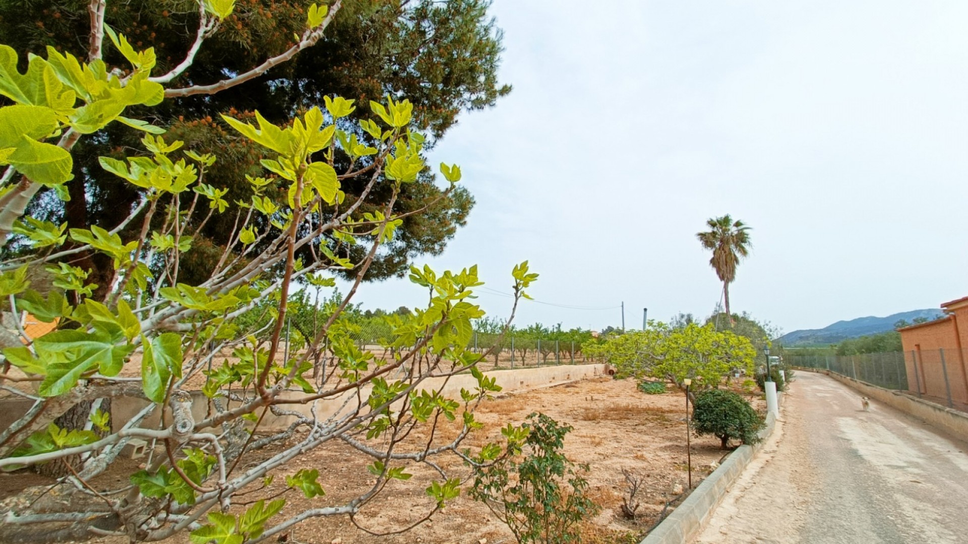 Resale - Freistehende Villa -
Hondón de los Fráiles