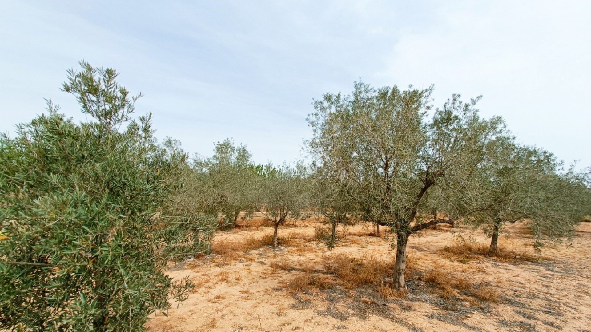 Resale - Freistehende Villa -
Hondón de los Fráiles