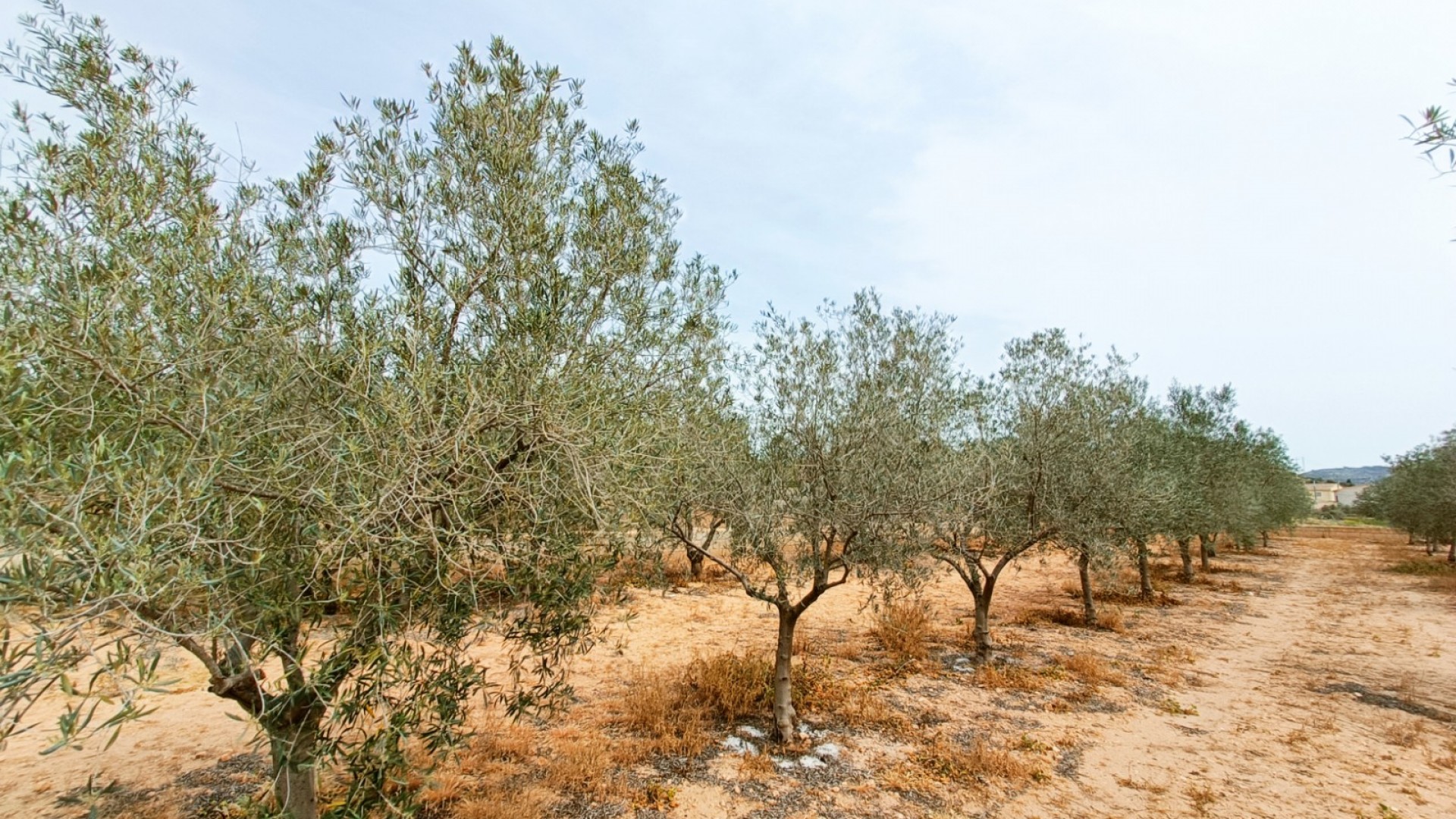 Resale - Freistehende Villa -
Hondón de los Fráiles