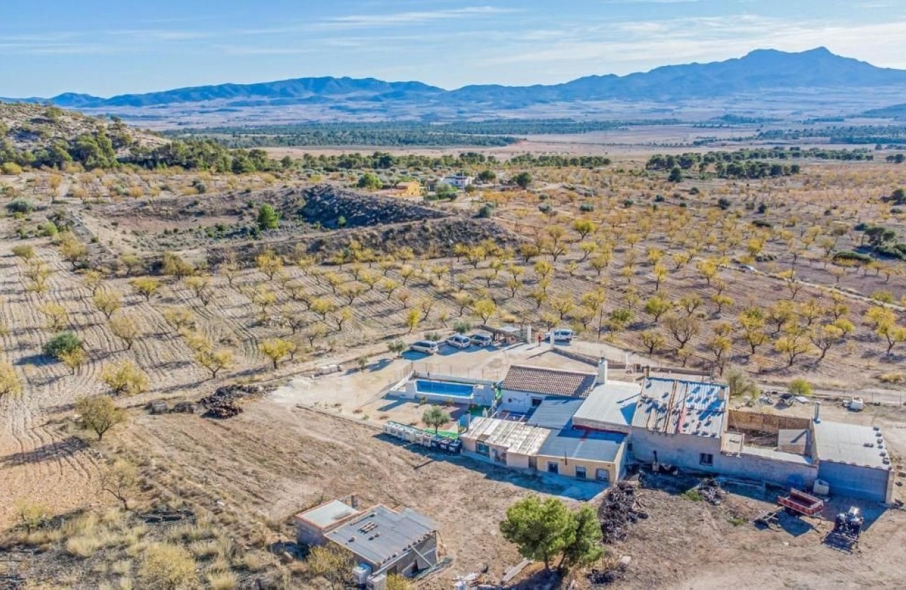 Resale - Freistehende Villa -
Jumilla - Inland
