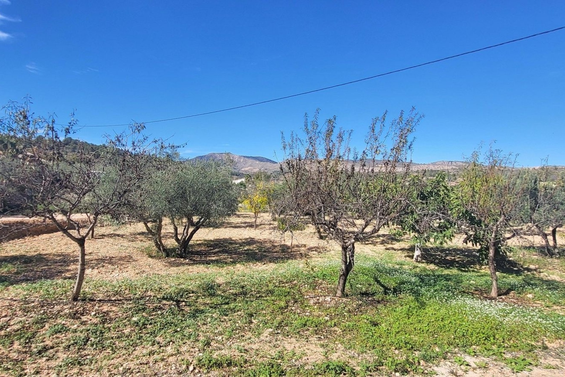 Resale - Freistehende Villa -
La Romana