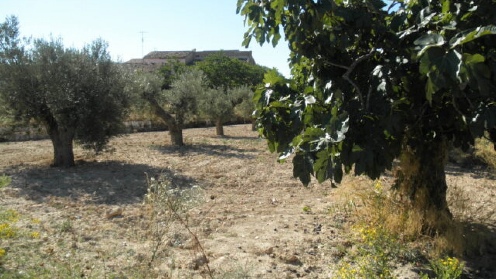 Resale - Freistehende Villa -
La Romana