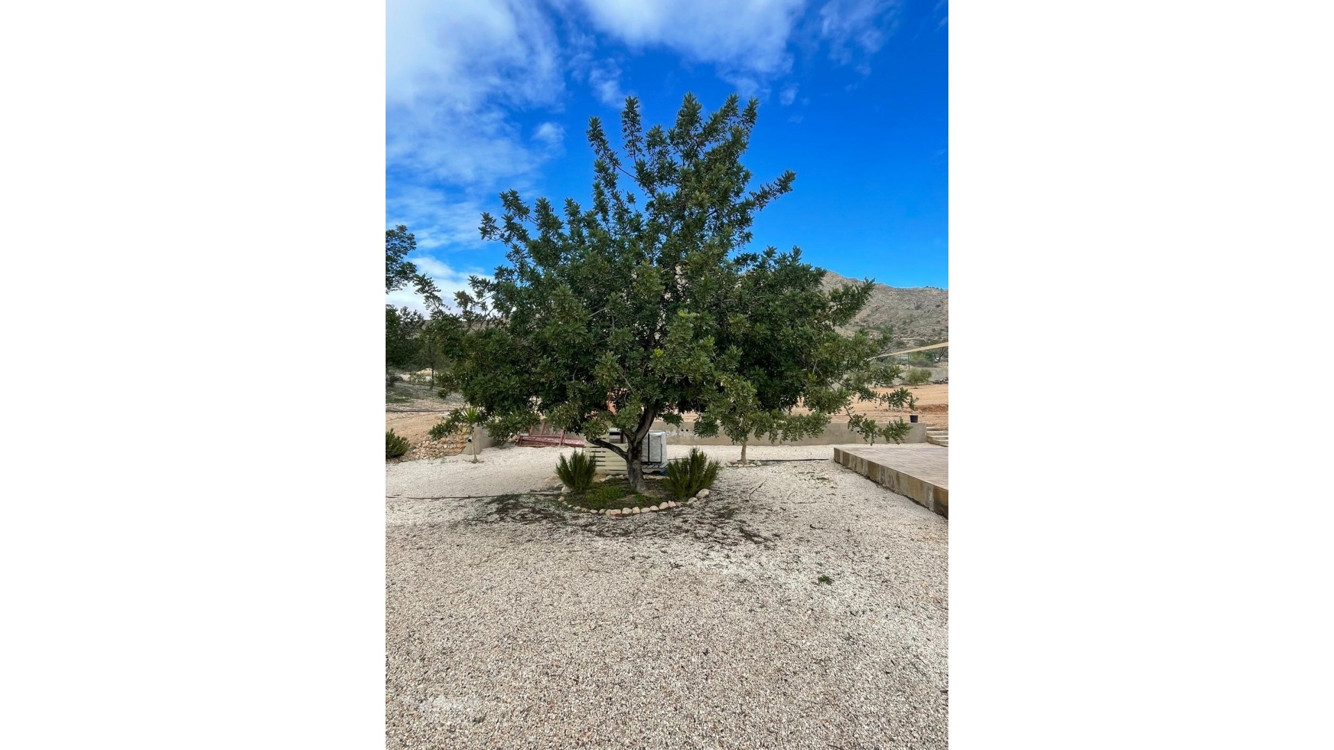 Resale - Freistehende Villa -
Macisvenda - Macisvenda Murcia