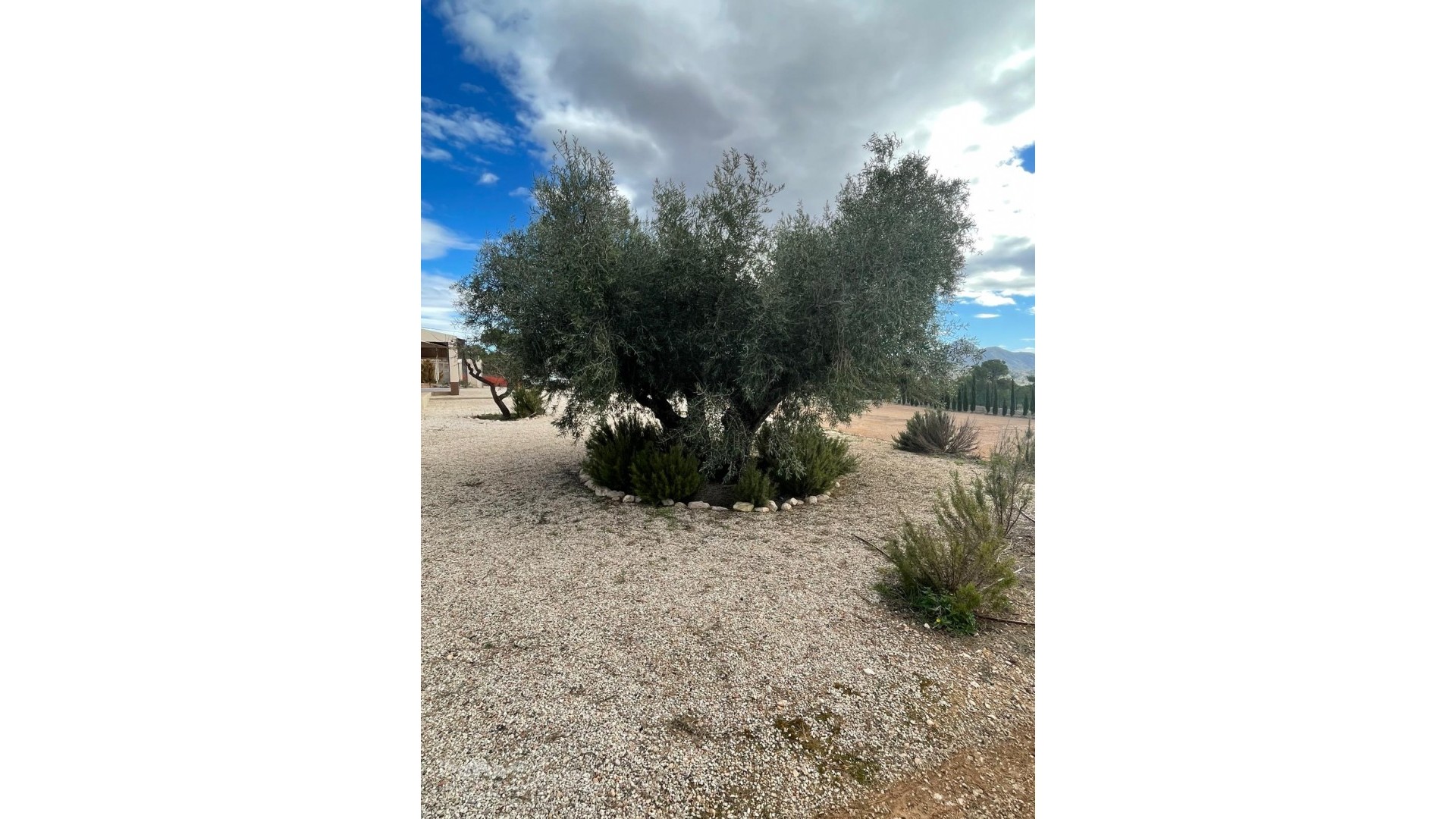 Resale - Freistehende Villa -
Macisvenda - Macisvenda Murcia