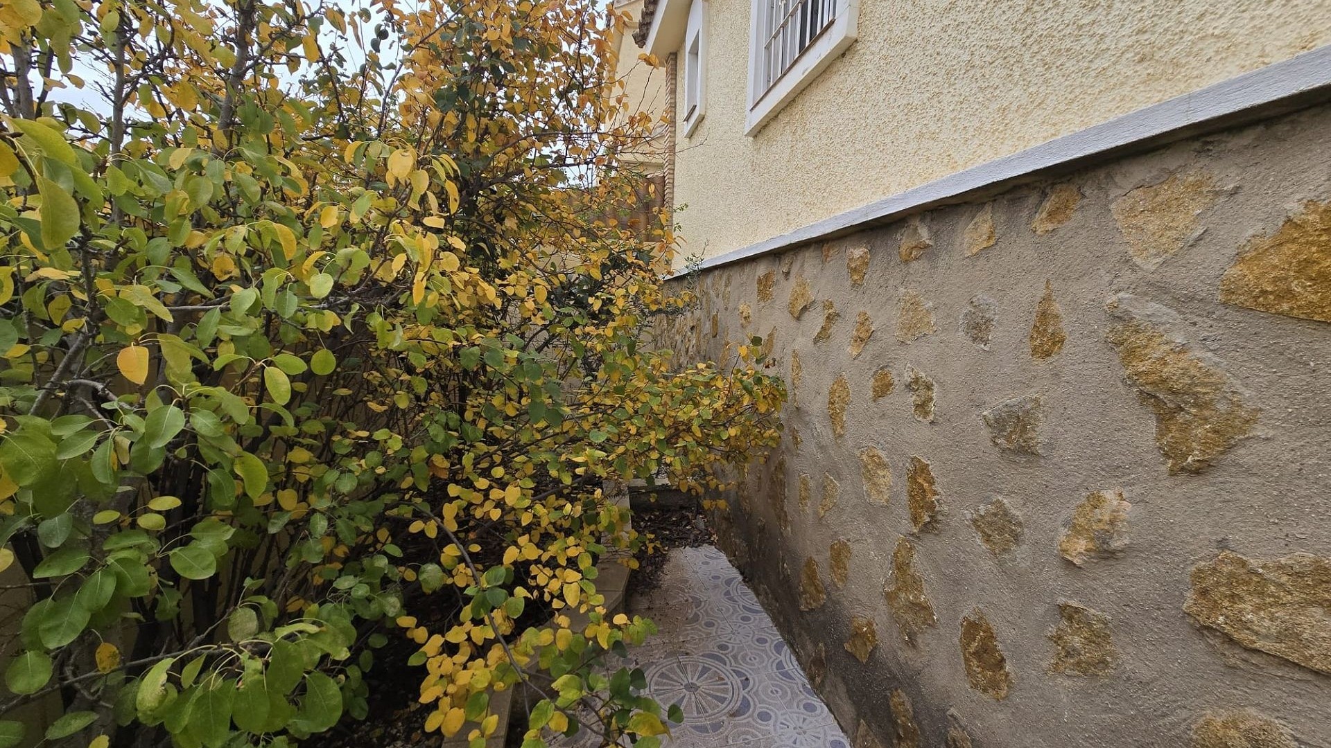 Resale - Freistehende Villa -
Monforte del Cid