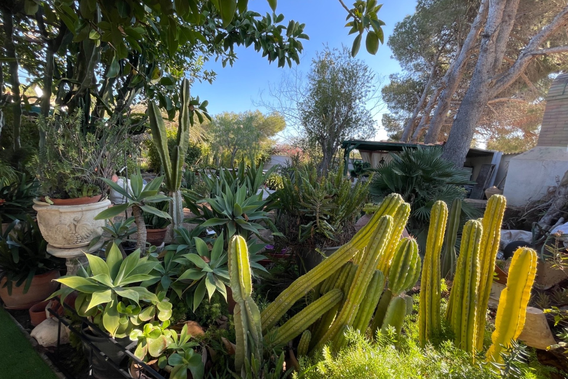 Resale - Freistehende Villa -
Orihuela Costa - Lomas De Cabo Roig
