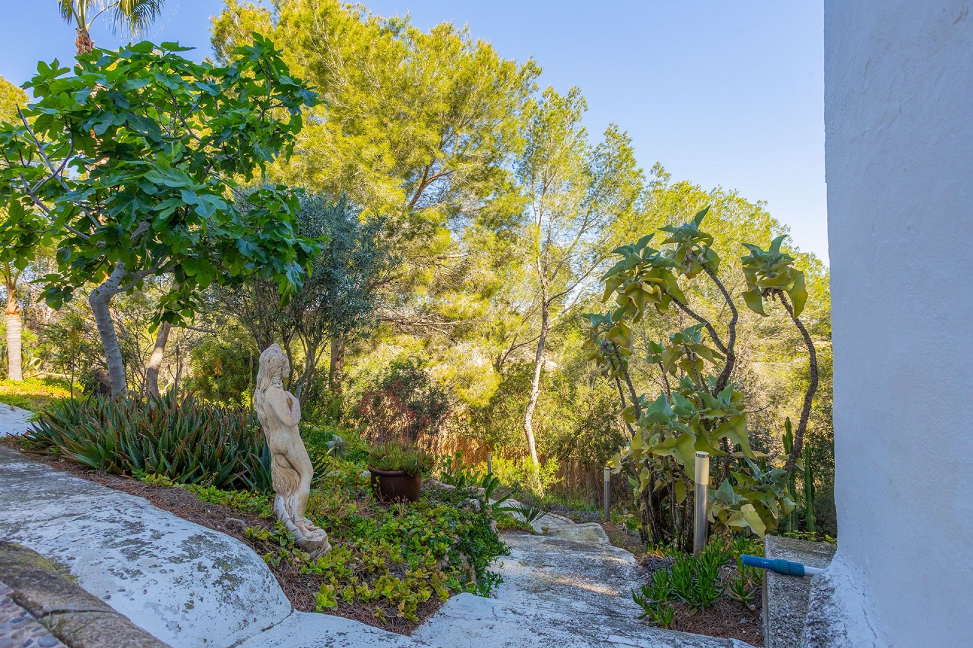 Resale - Freistehende Villa -
Orihuela - Inland