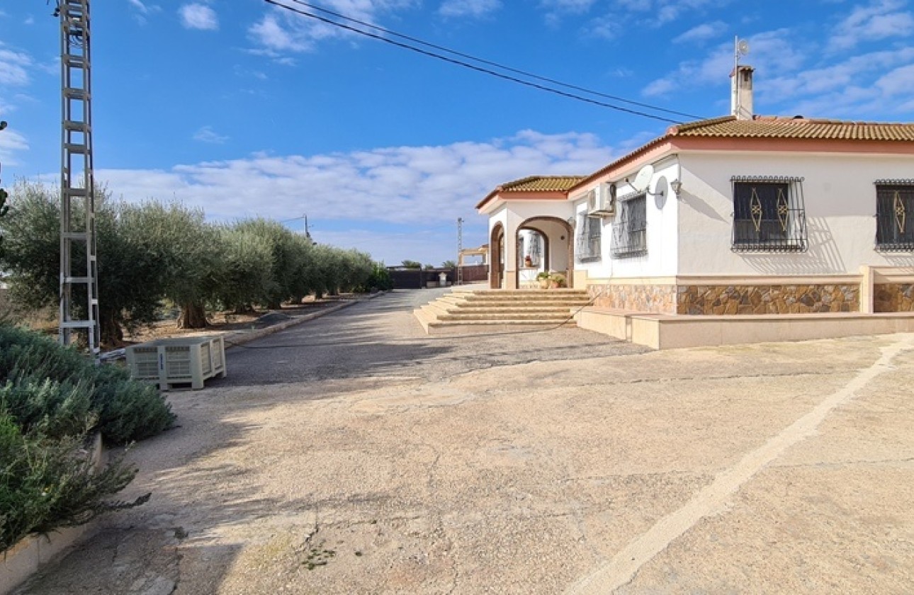 Resale - Freistehende Villa -
Orihuela - La Matanza