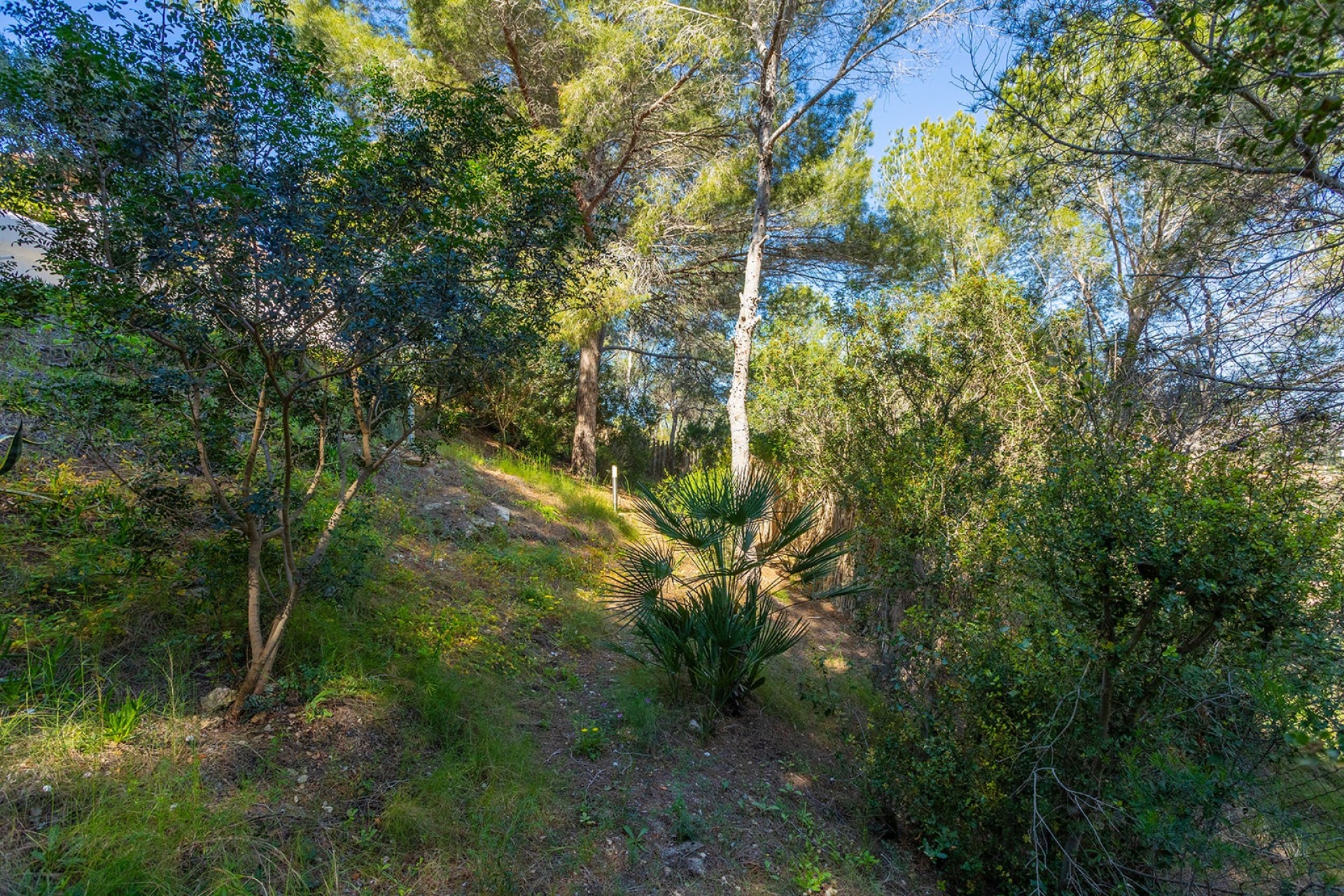 Resale - Freistehende Villa -
Orihuela - Orihuela Costa